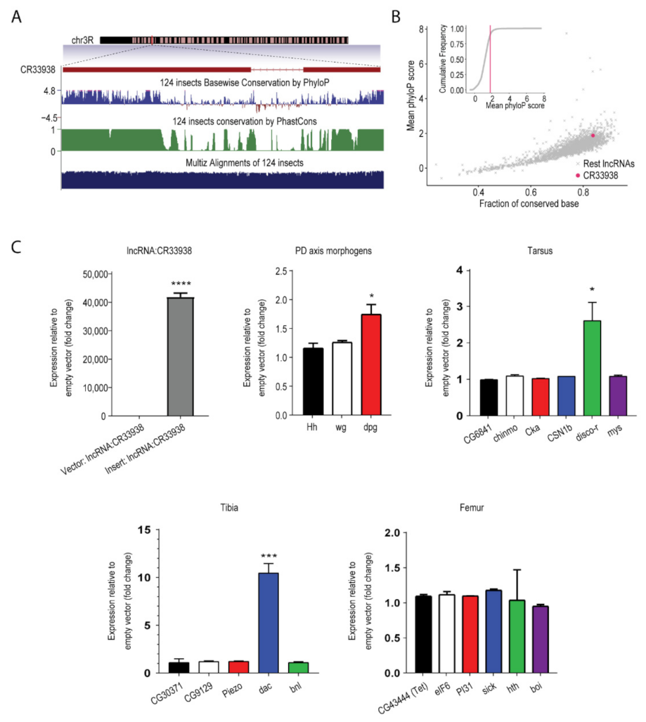 Ijms 23 06796 g003 Ijms 23 06796 g003