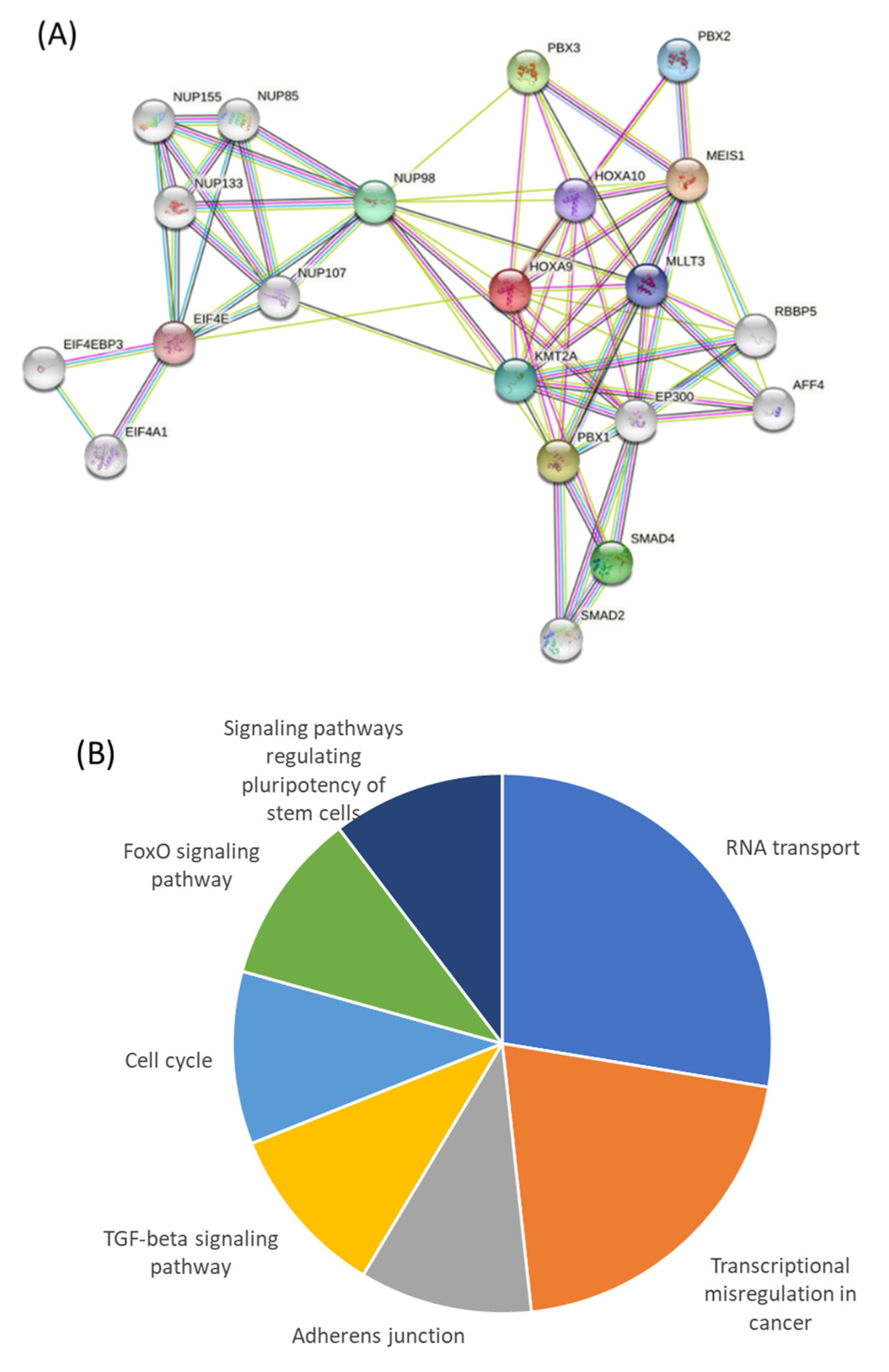 Ijms 23 06799 g005 Ijms 23 06799 g005