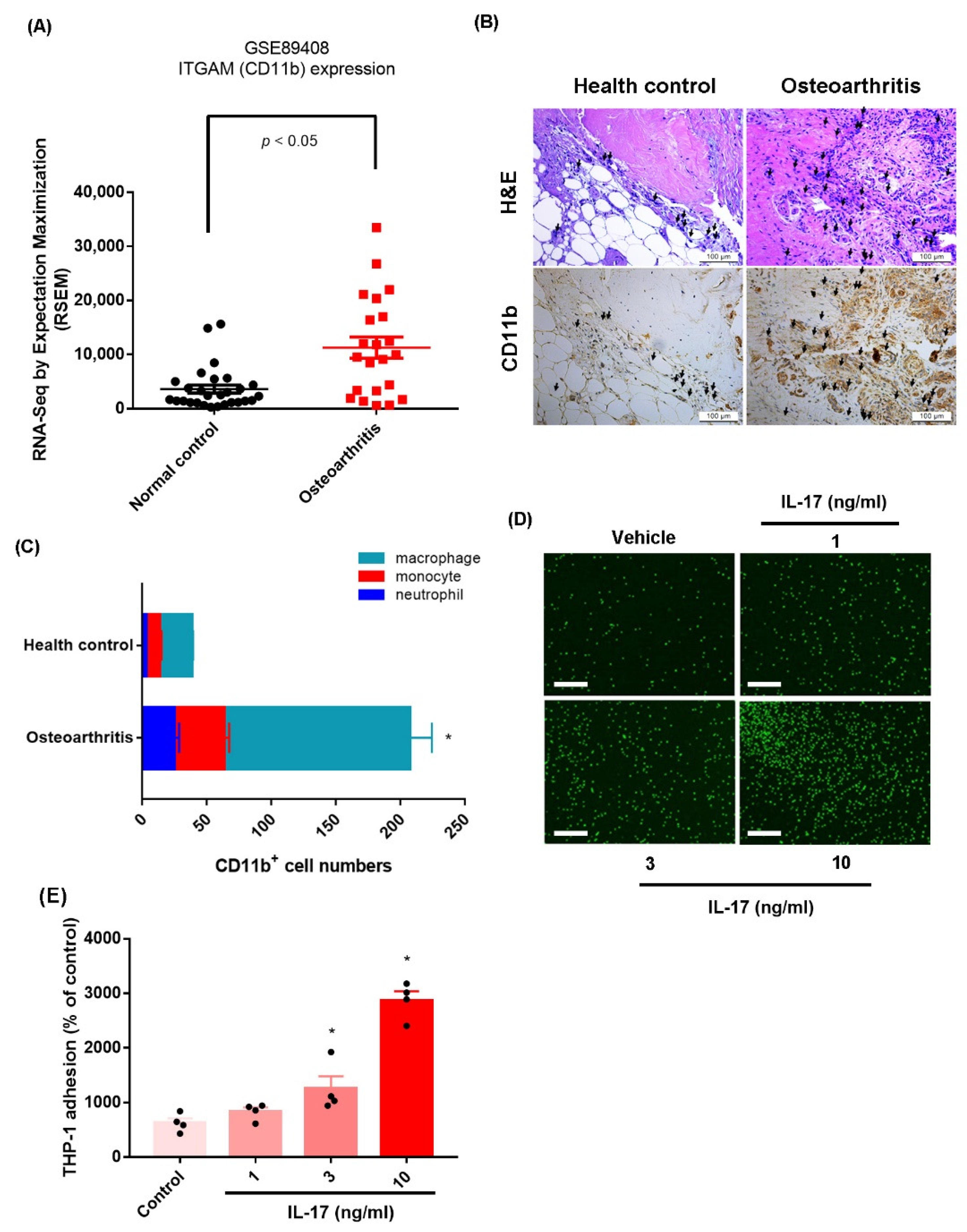 Ijms 23 06804 g001 550