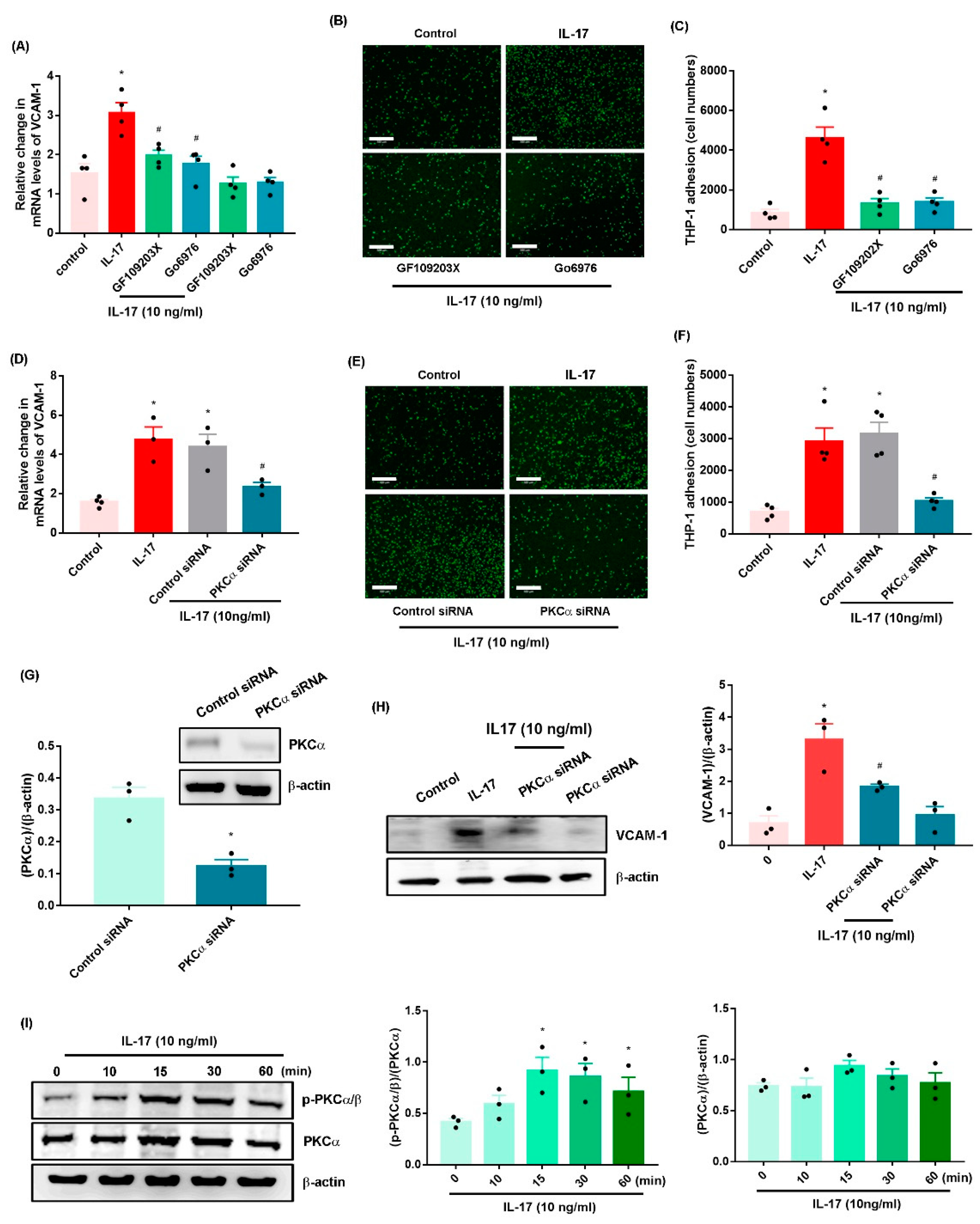 Ijms 23 06804 g003 550