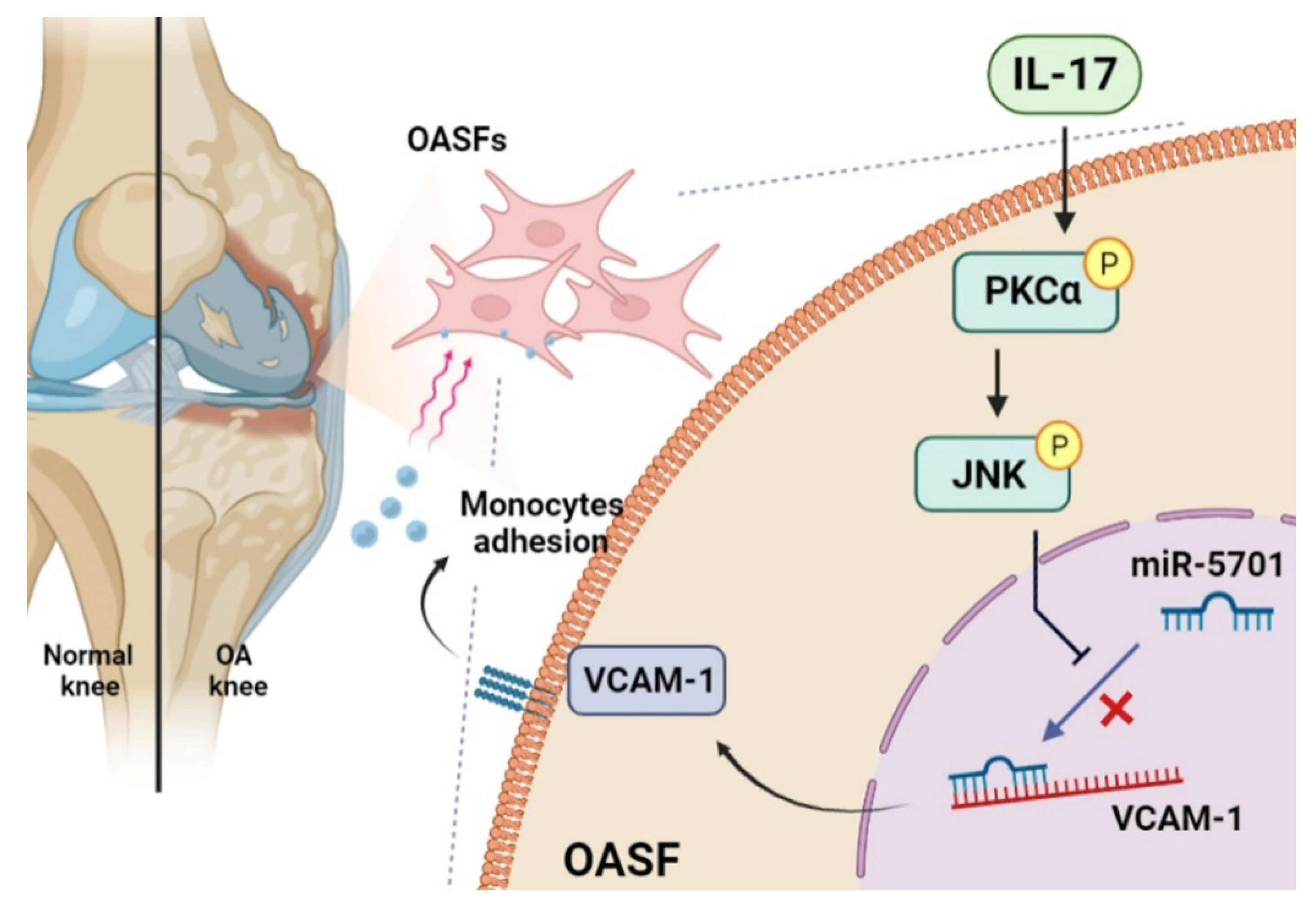 Ijms 23 06804 g006 550