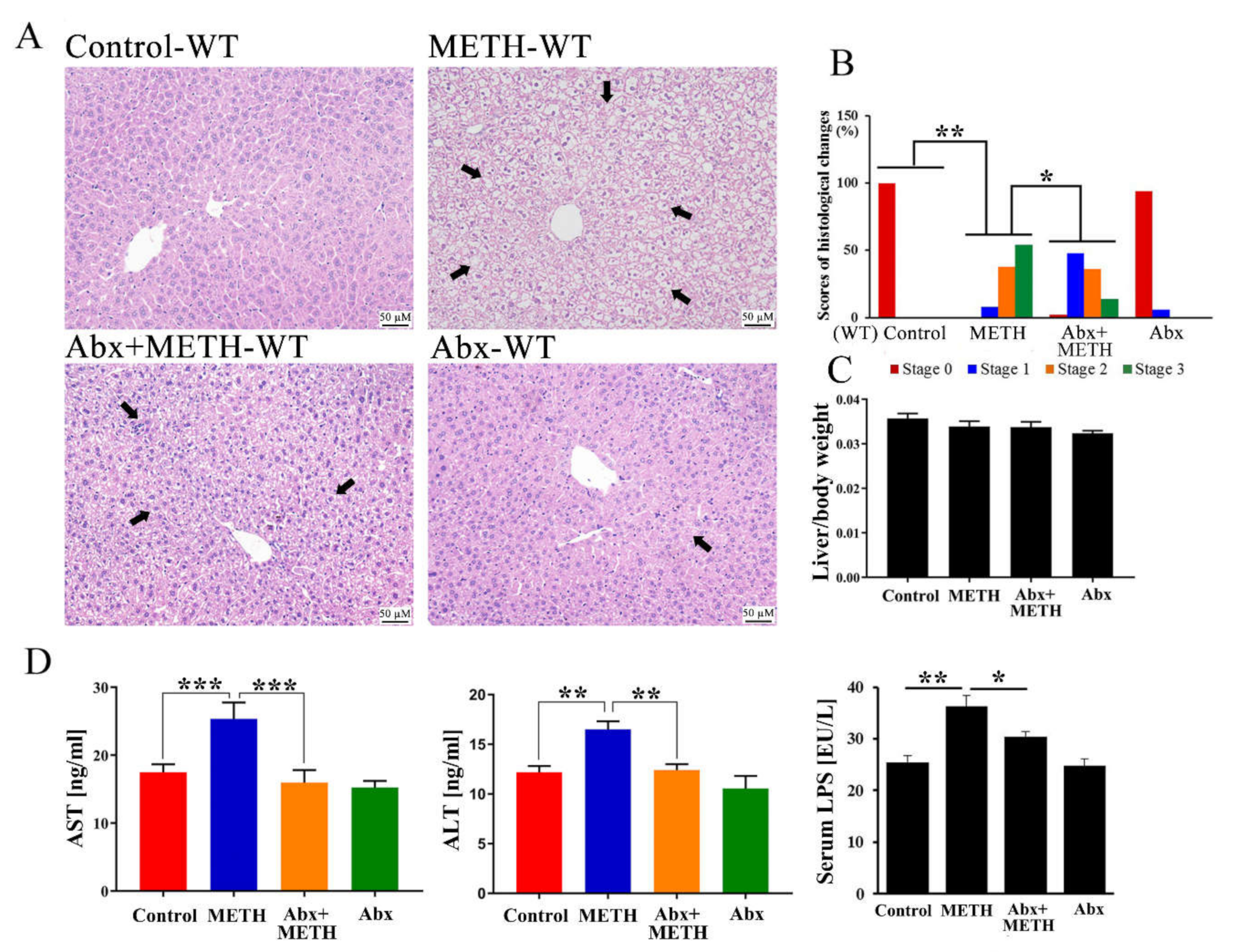 Ijms 23 06810 g001 550