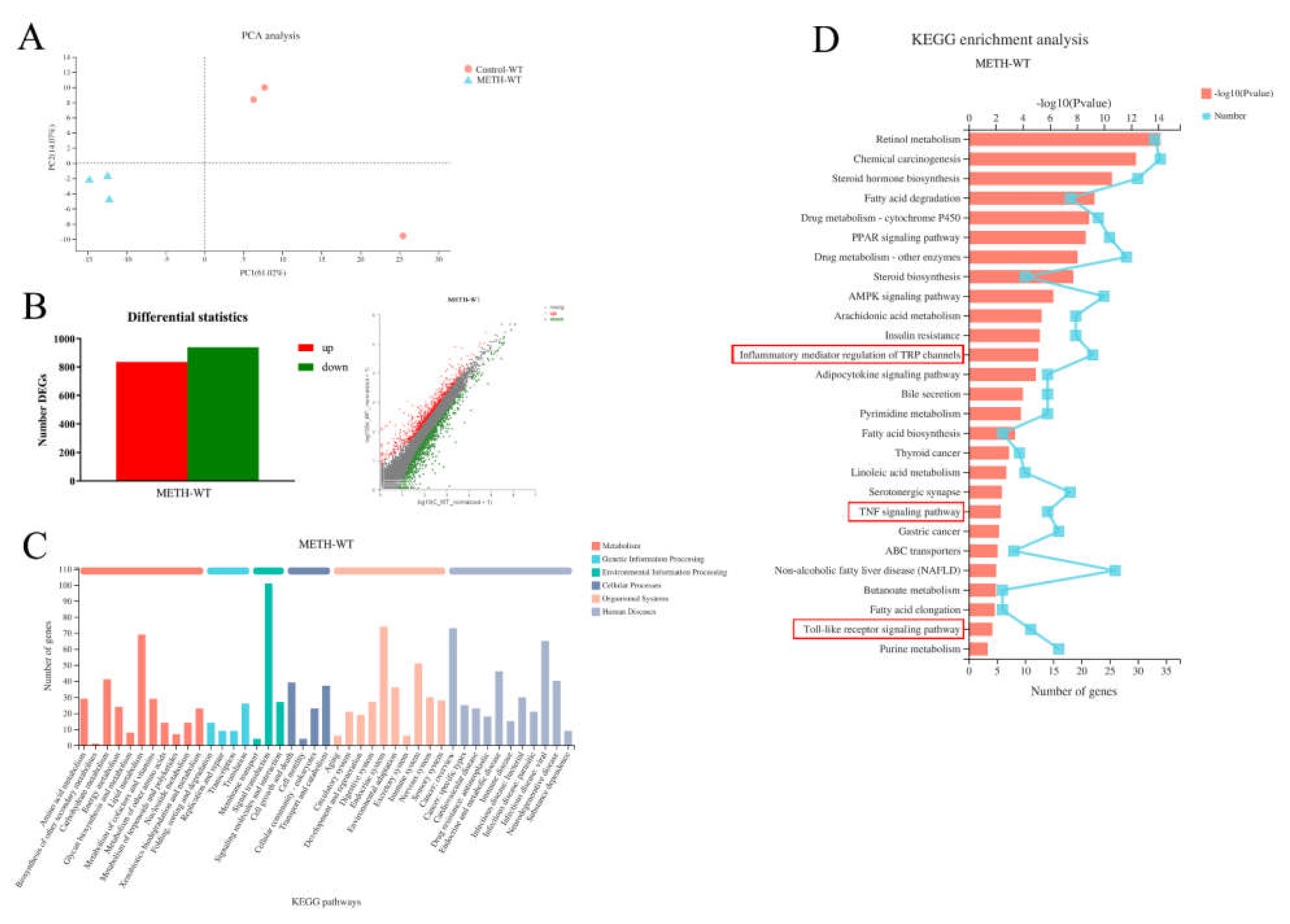 Ijms 23 06810 g002 550
