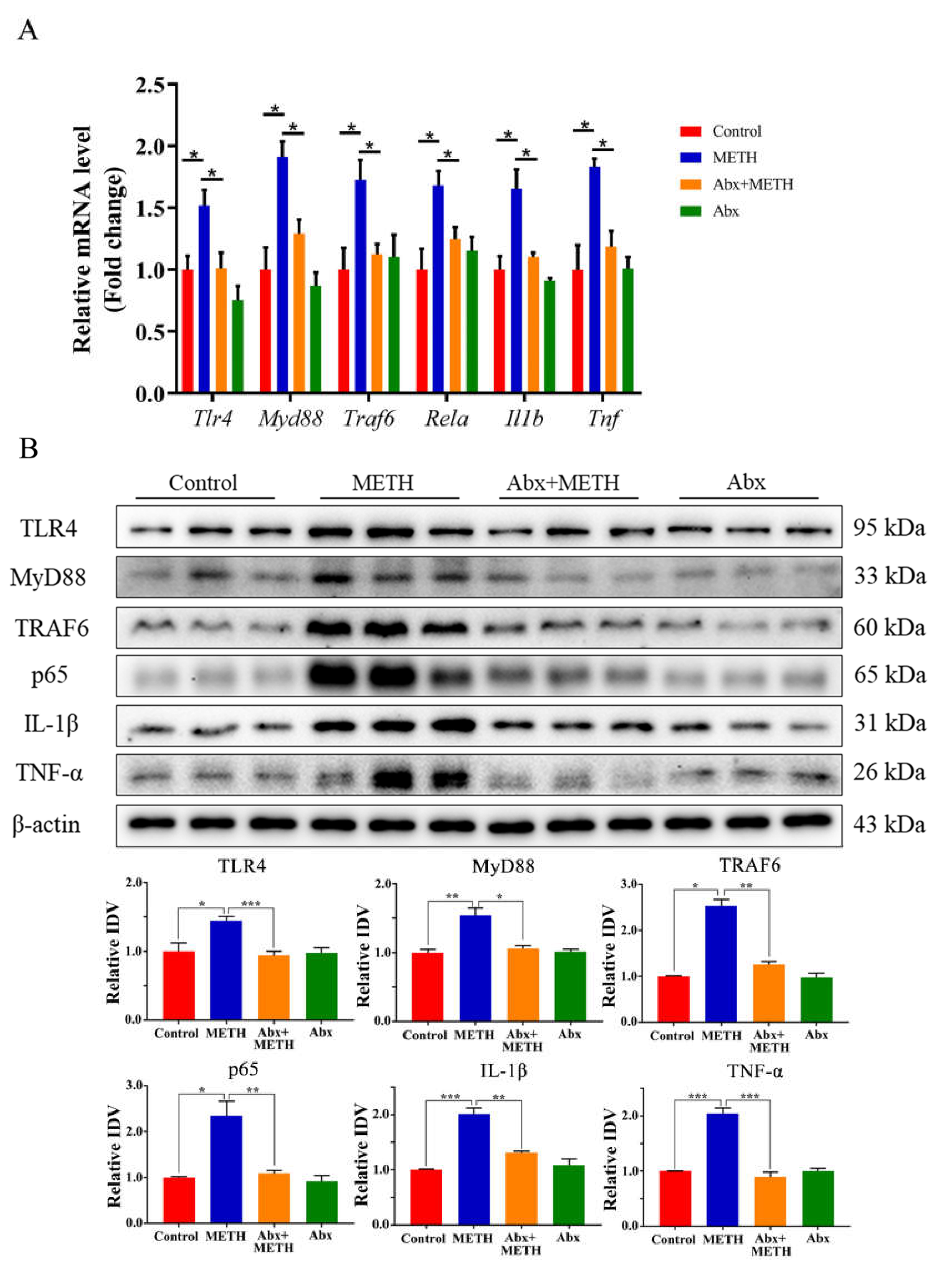 Ijms 23 06810 g003 550