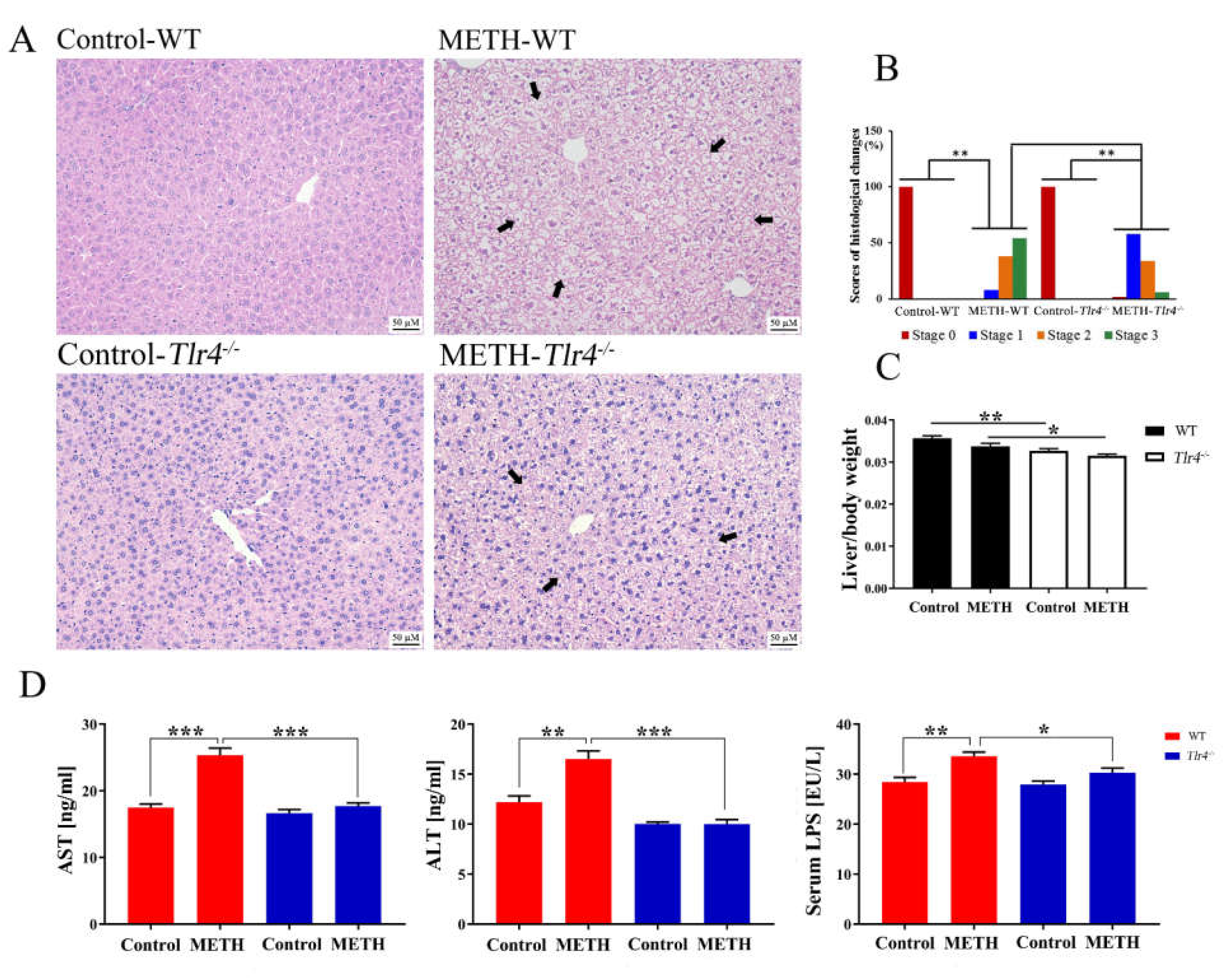 Ijms 23 06810 g004 550