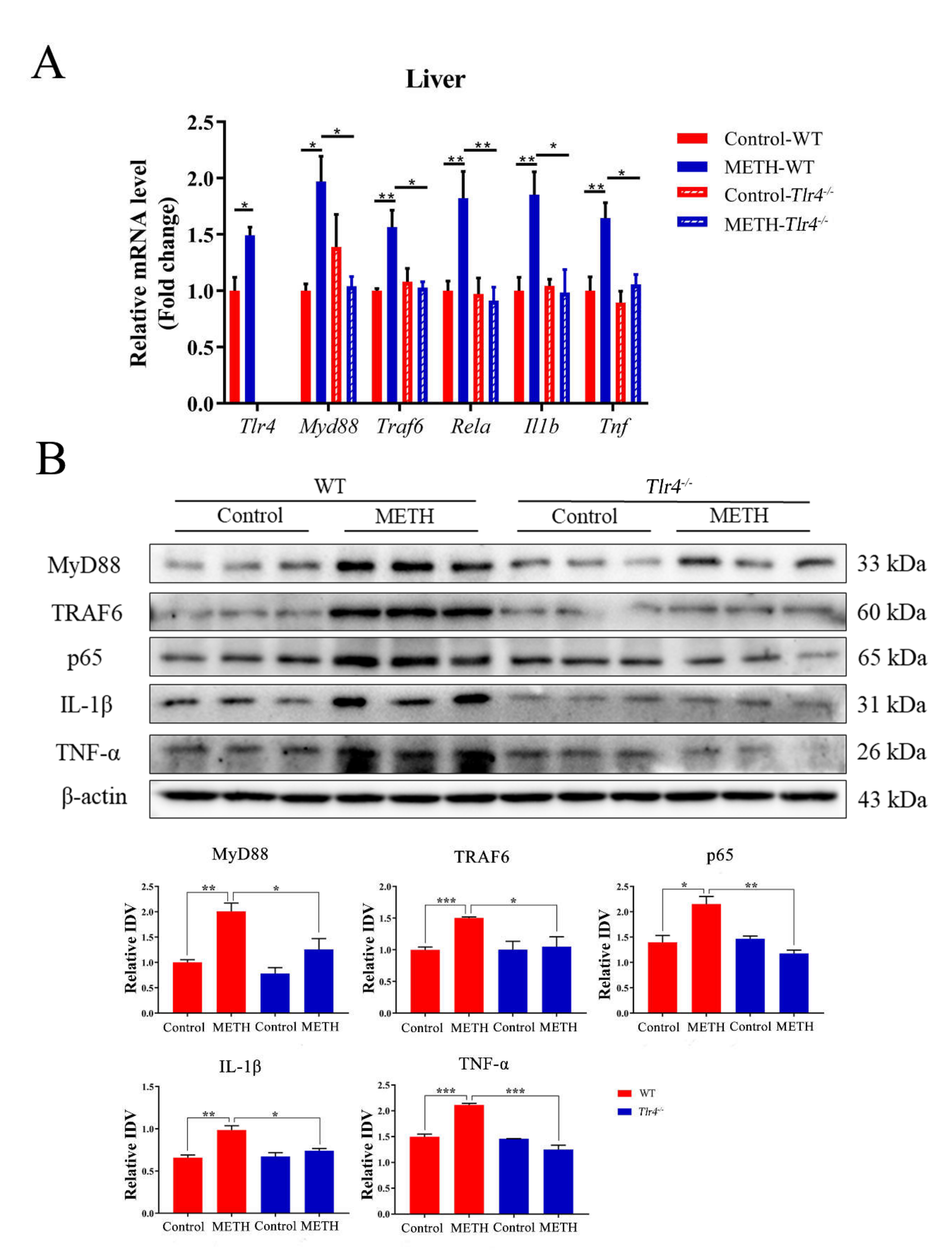 Ijms 23 06810 g005 550