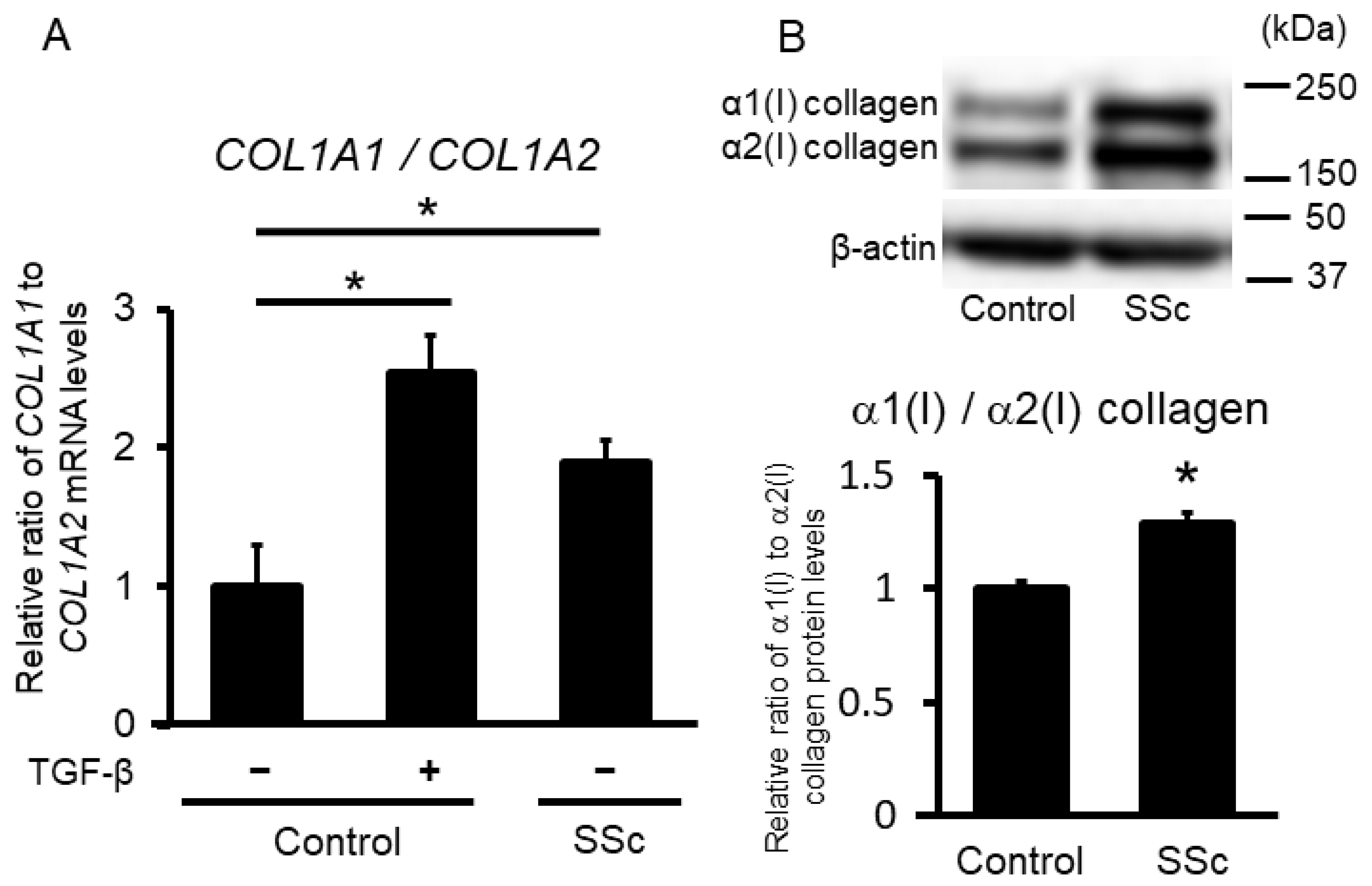 Ijms 23 06811 g001 Ijms 23 06811 g001