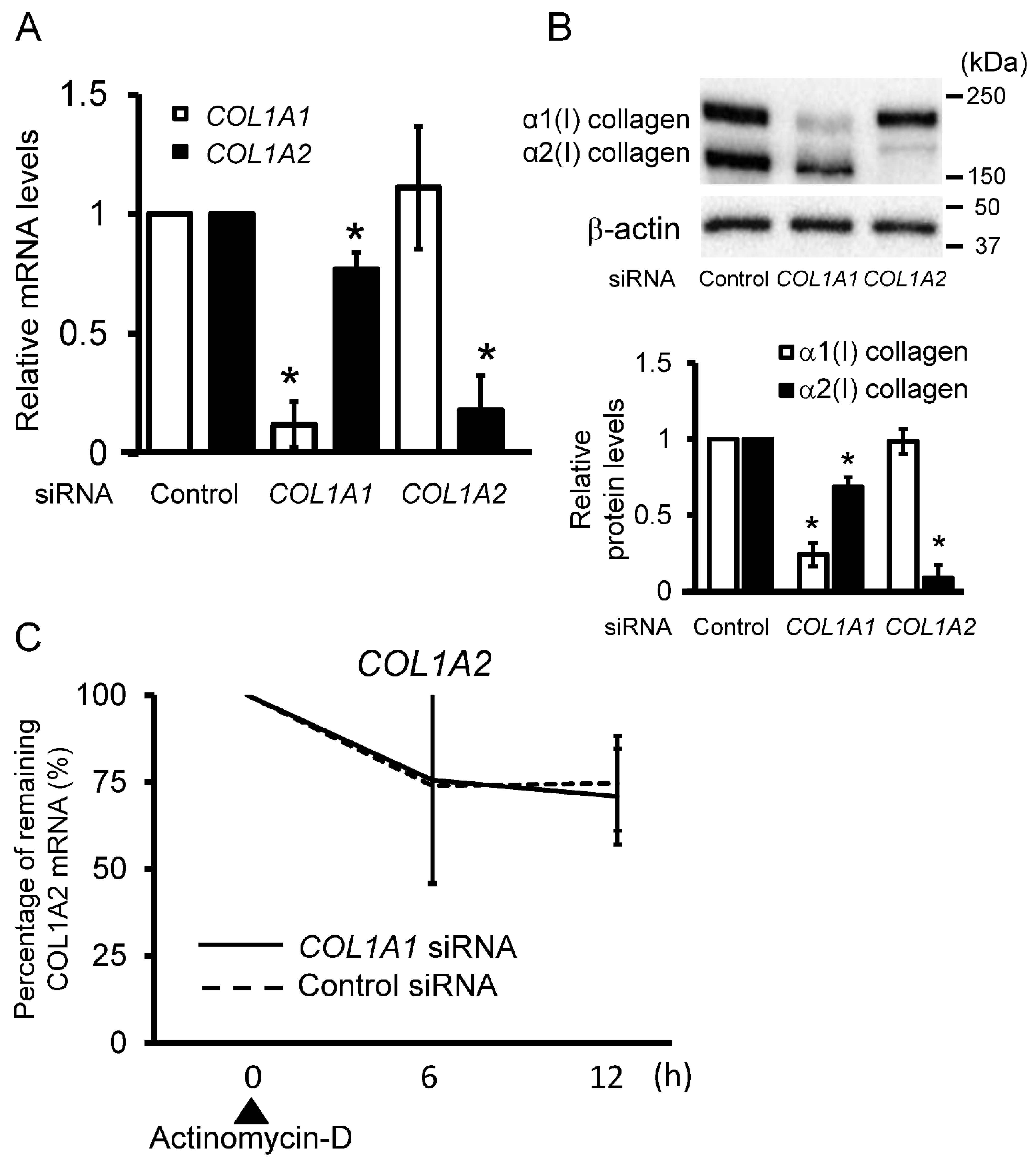 Ijms 23 06811 g002 Ijms 23 06811 g002