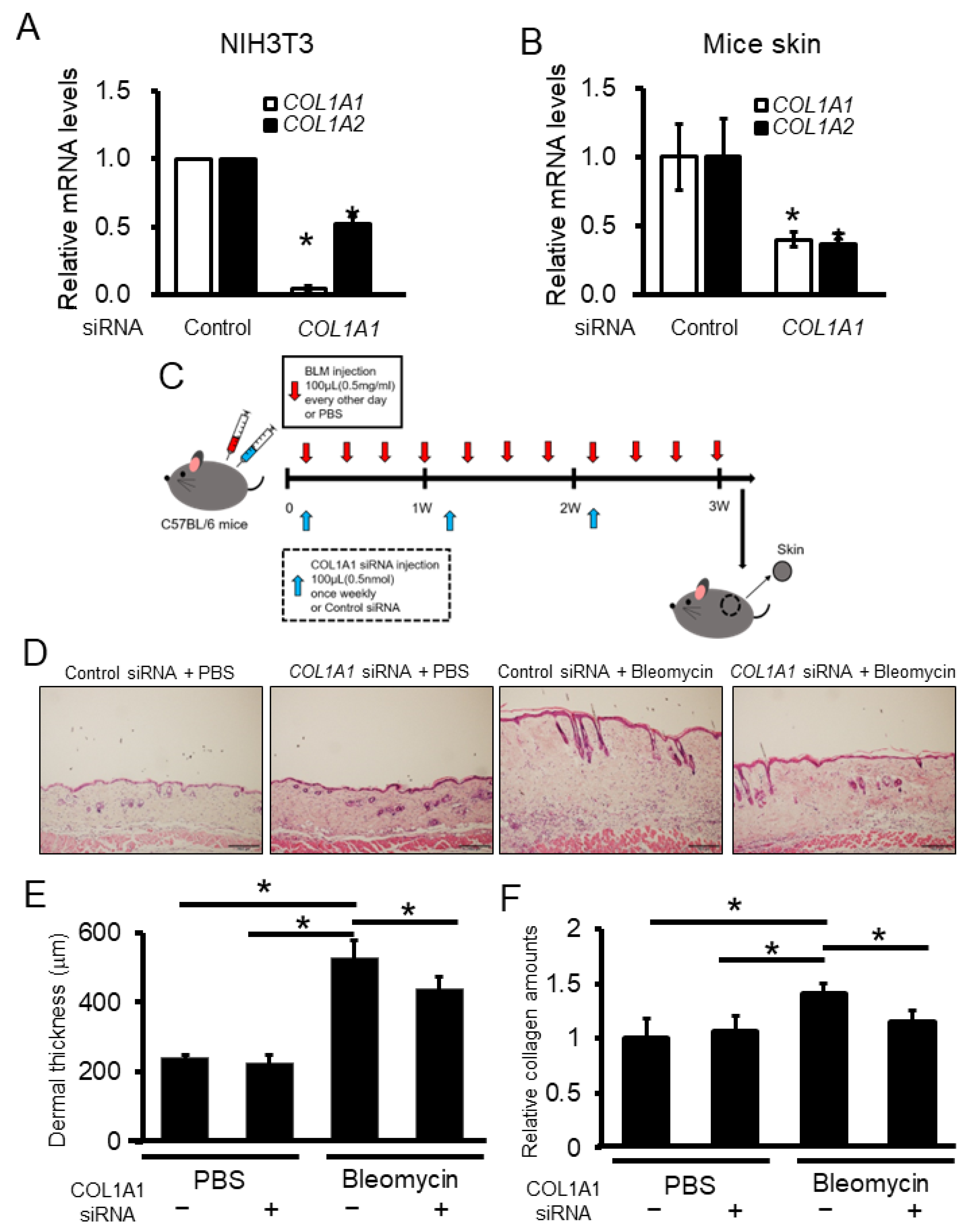Ijms 23 06811 g004 Ijms 23 06811 g004