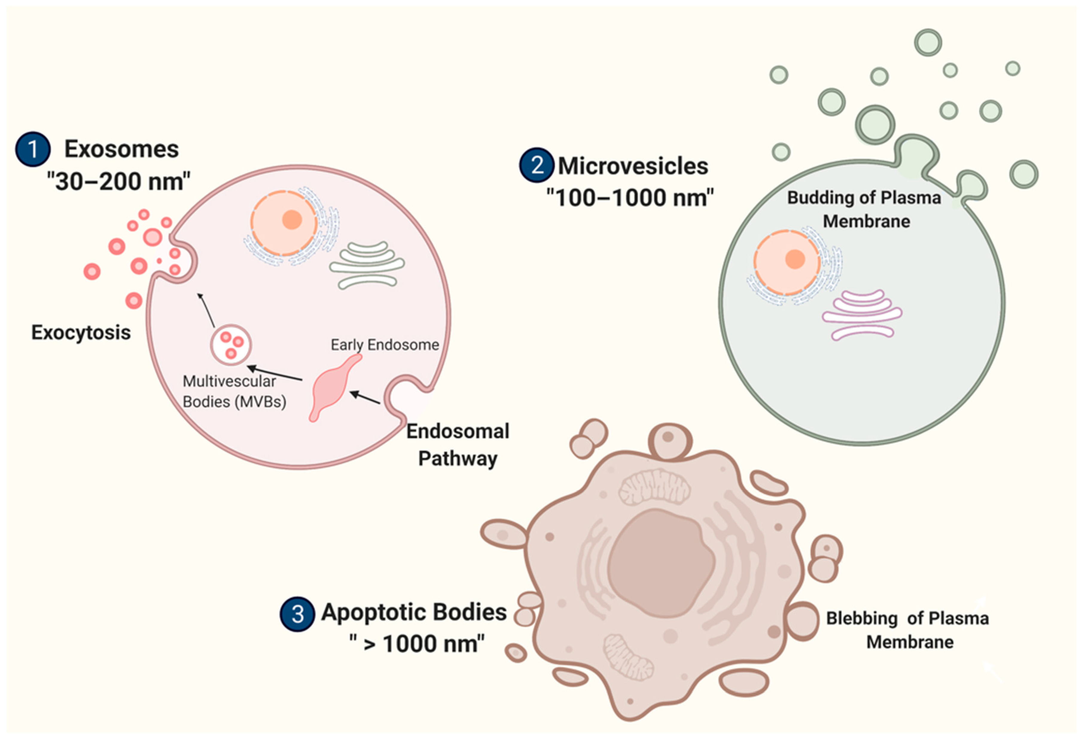 Ijms 23 06812 g001 Ijms 23 06812 g001