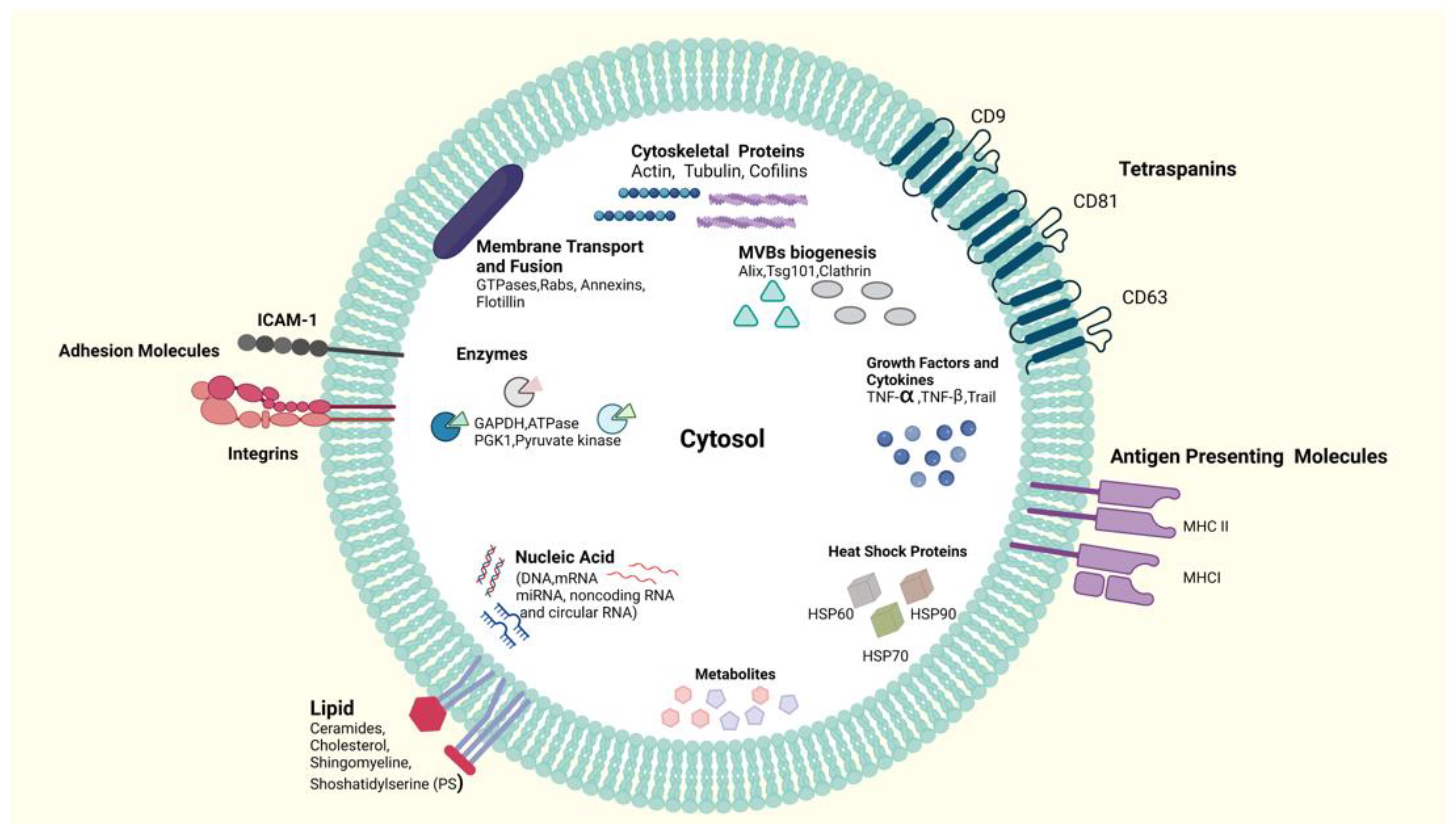 Ijms 23 06812 g003 Ijms 23 06812 g003