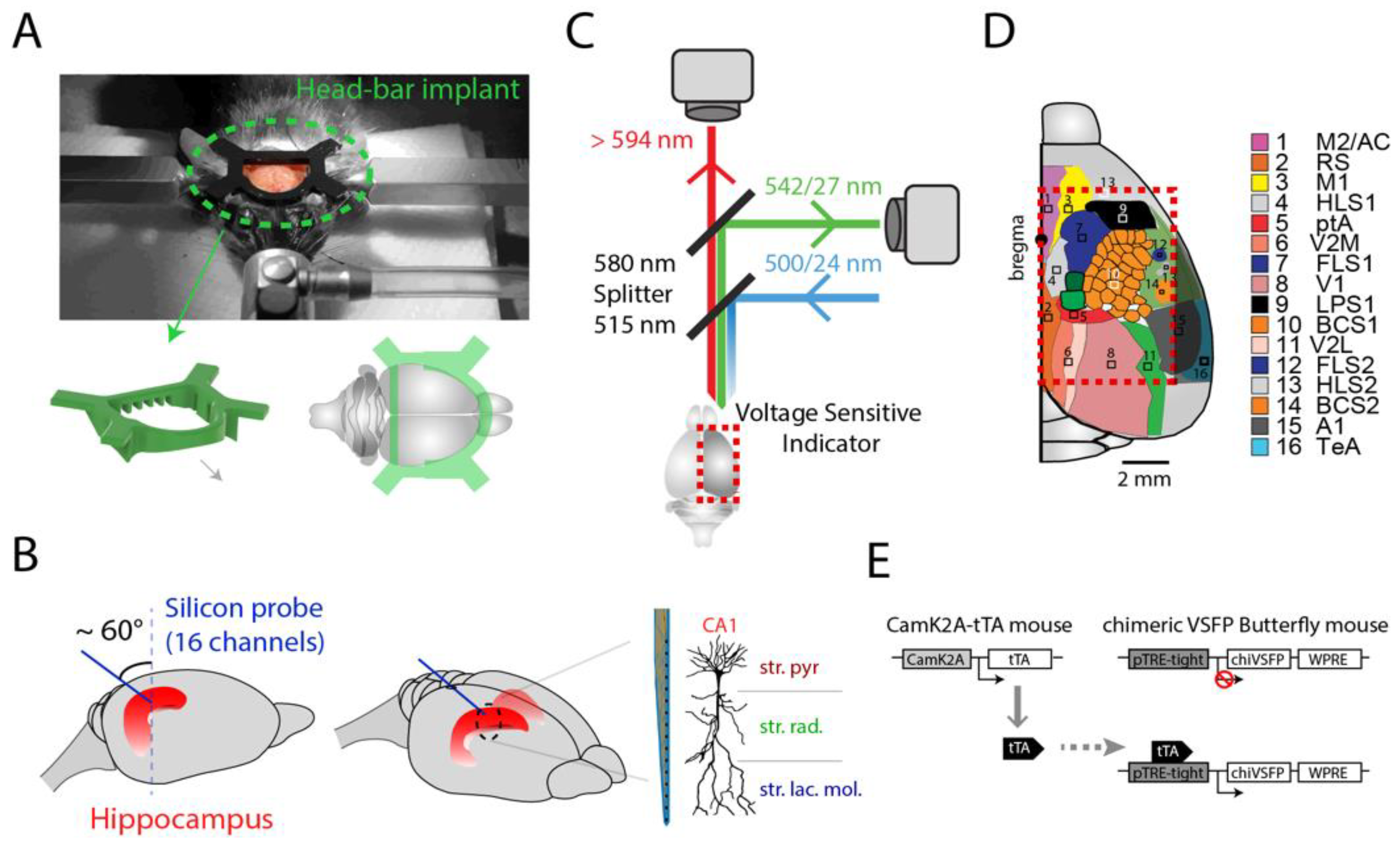 Ijms 23 06814 g001 550