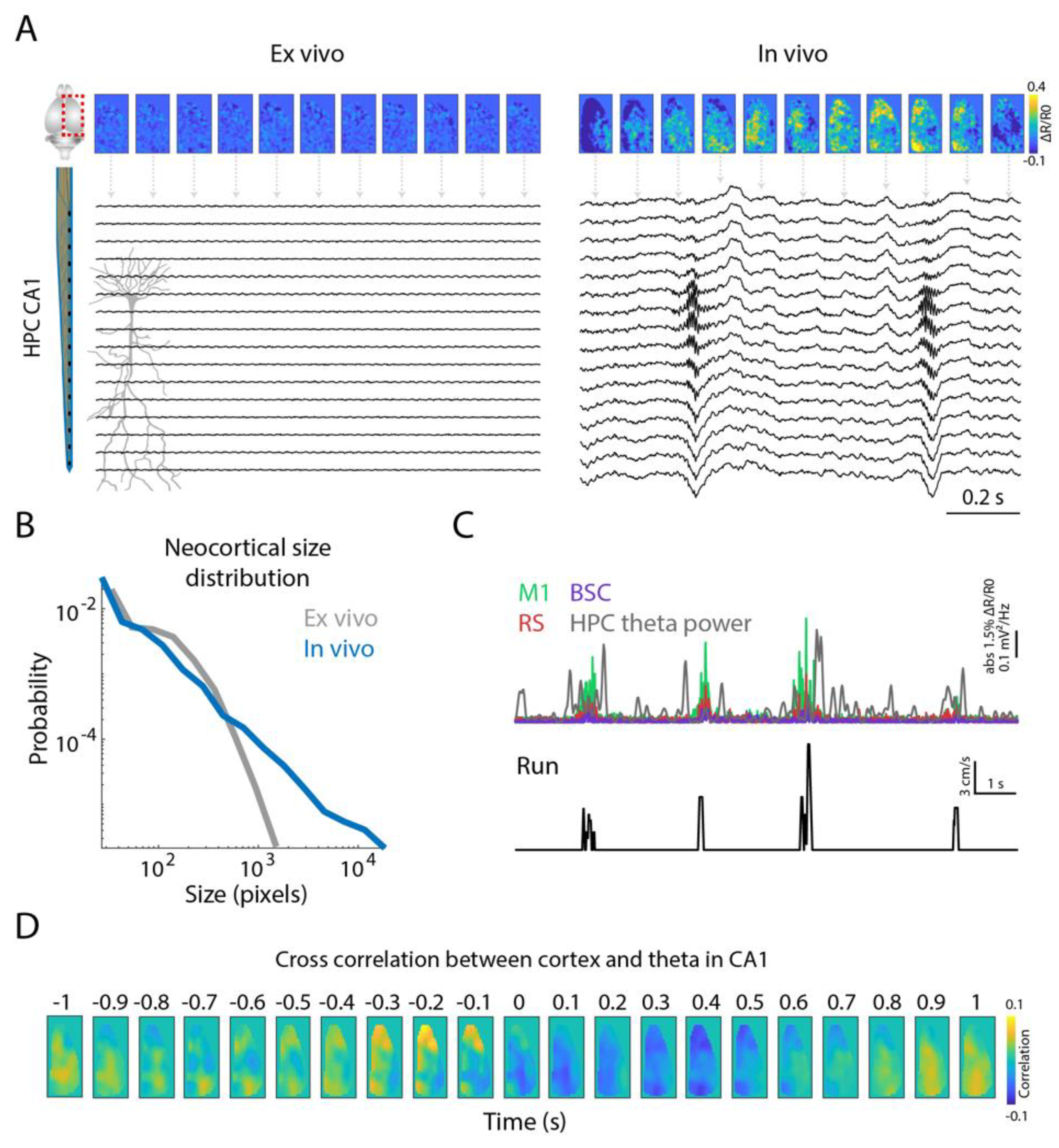 Ijms 23 06814 g002 550