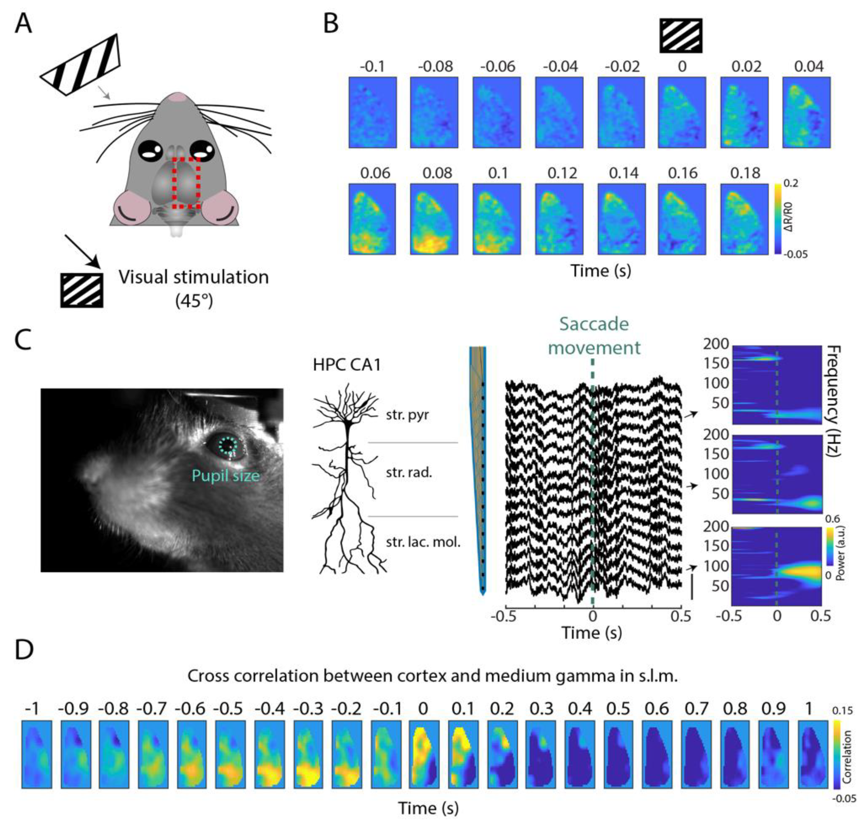 Ijms 23 06814 g003 550