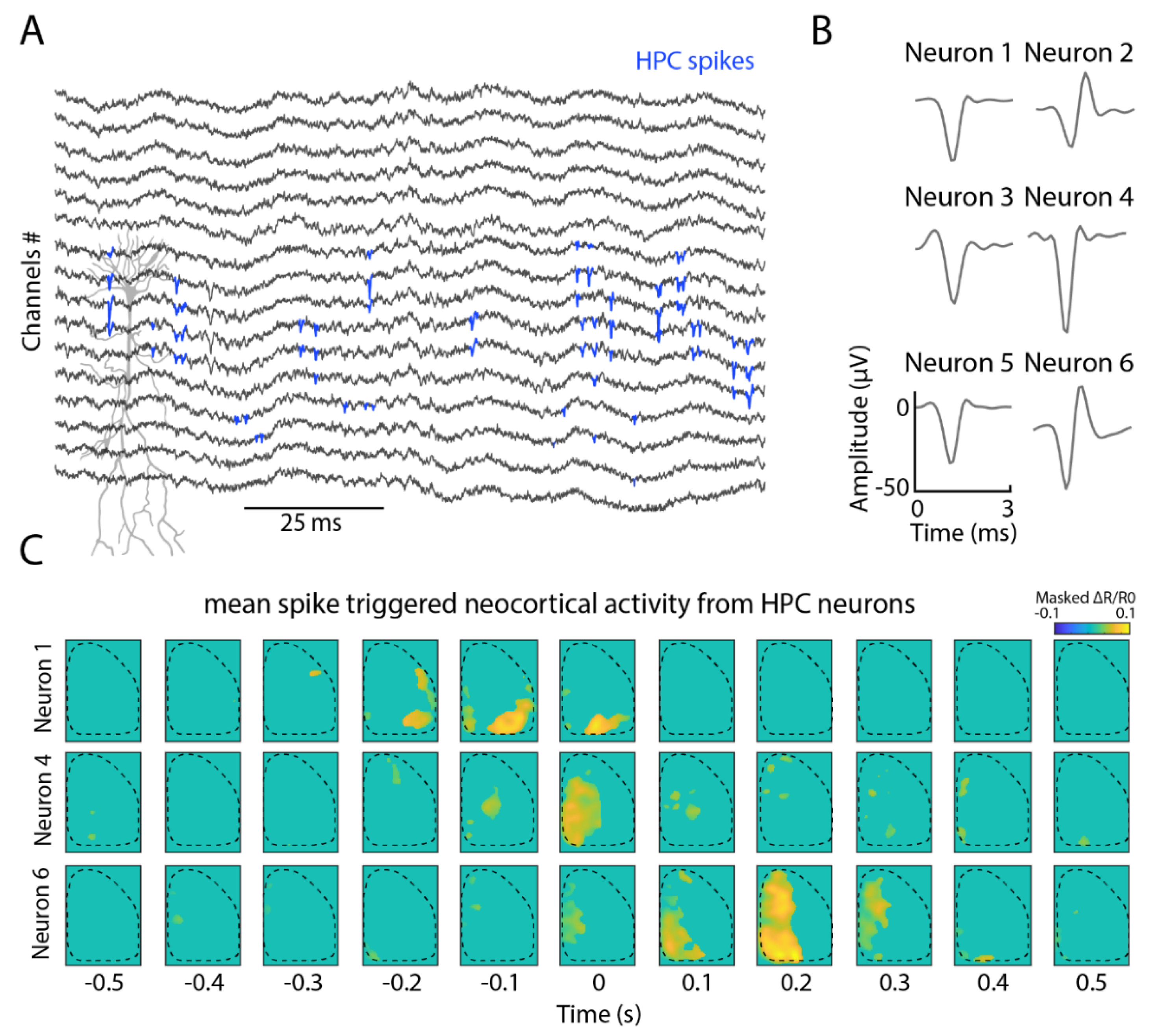 Ijms 23 06814 g004 550