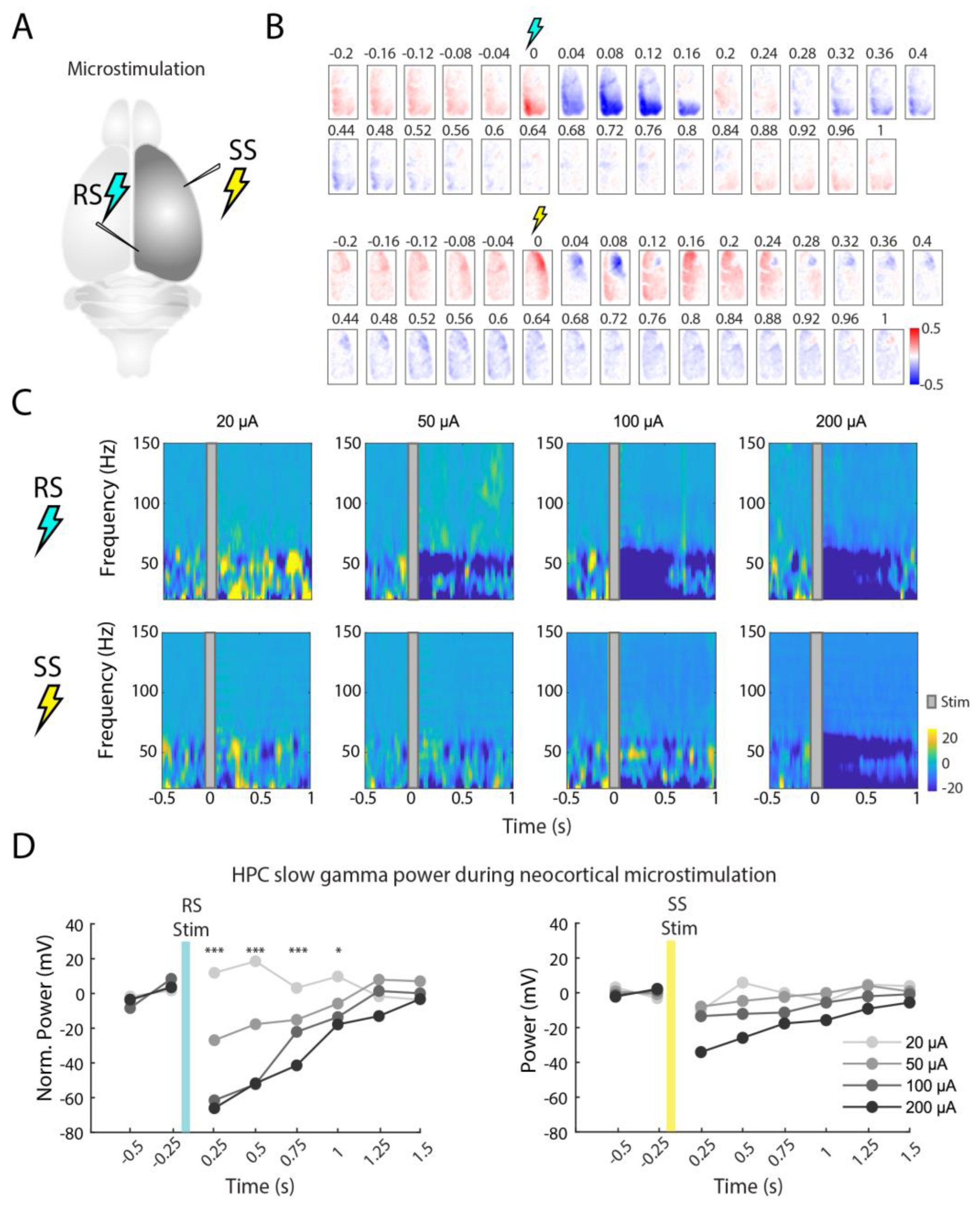 Ijms 23 06814 g005 550