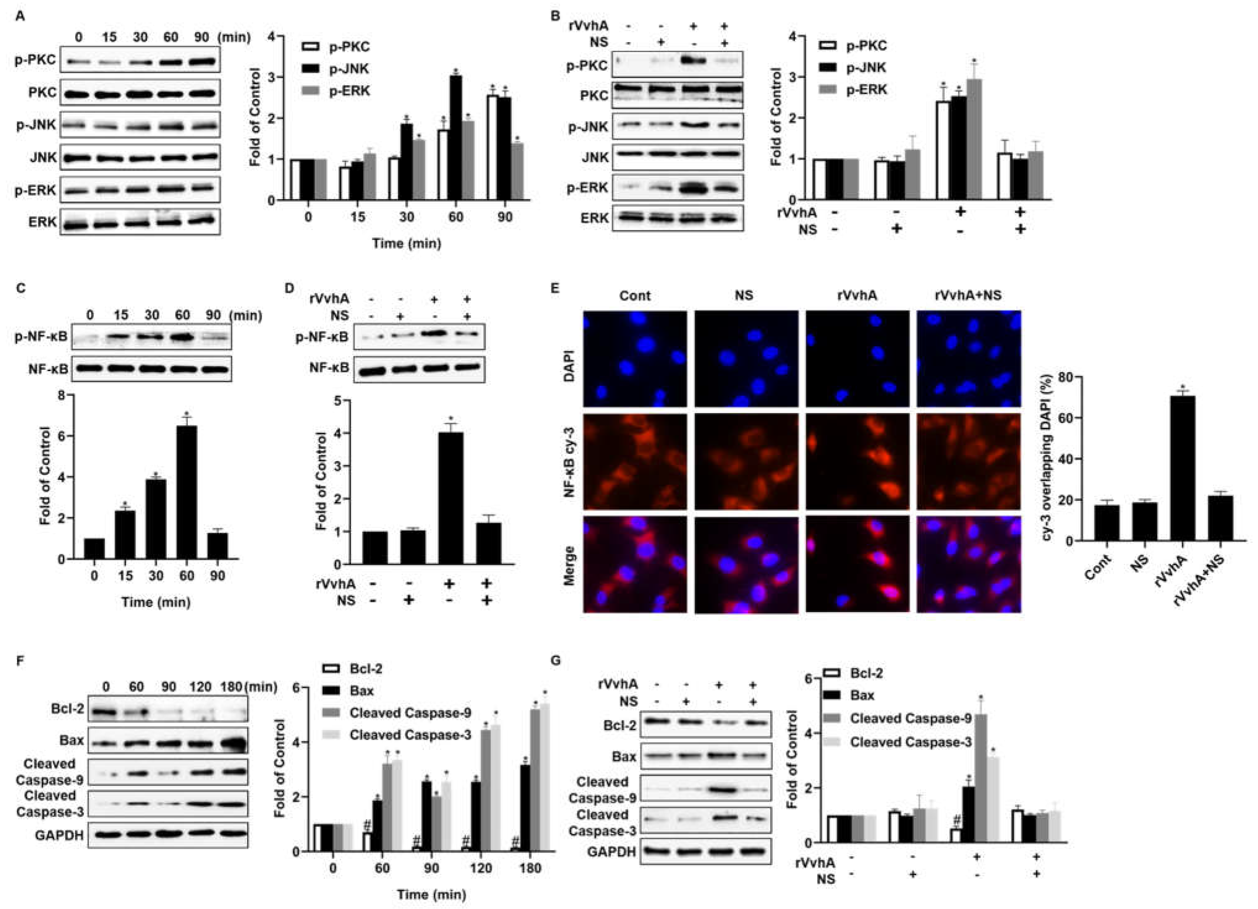 Ijms 23 06821 g004 550