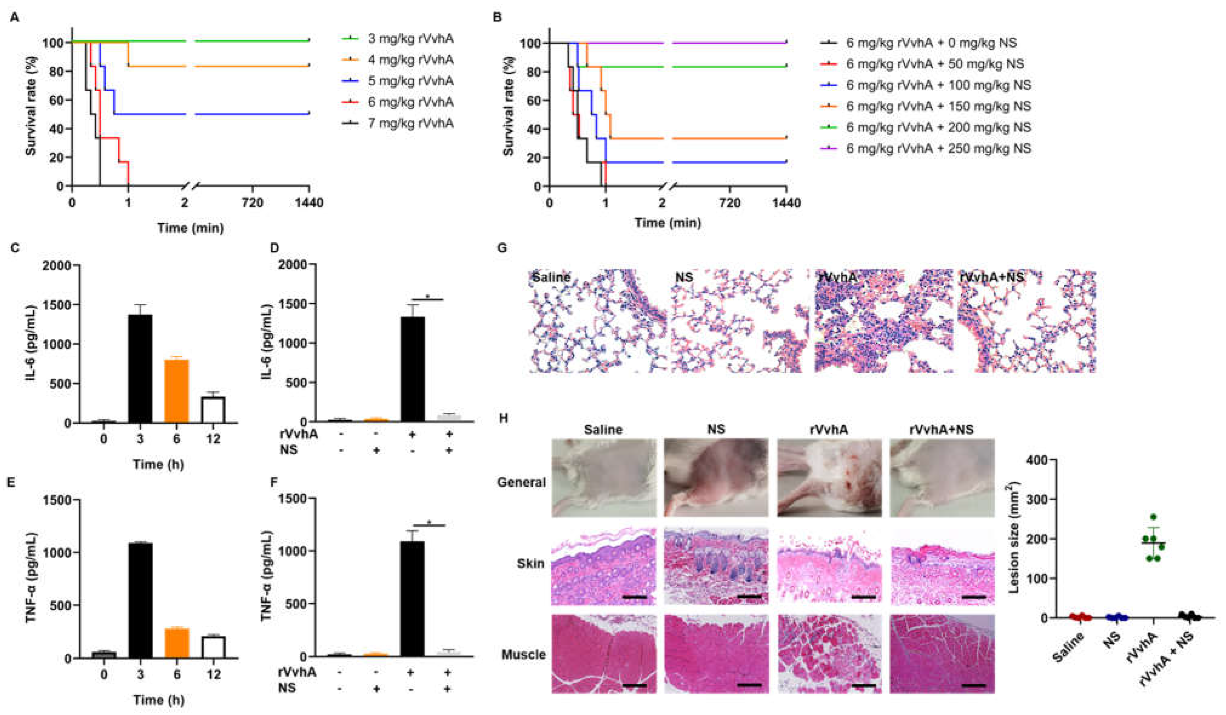 Ijms Free Full Text Biomimetic Nanosponges Enable The Detoxification Of Vibrio Vulnificus Hemolysin Html