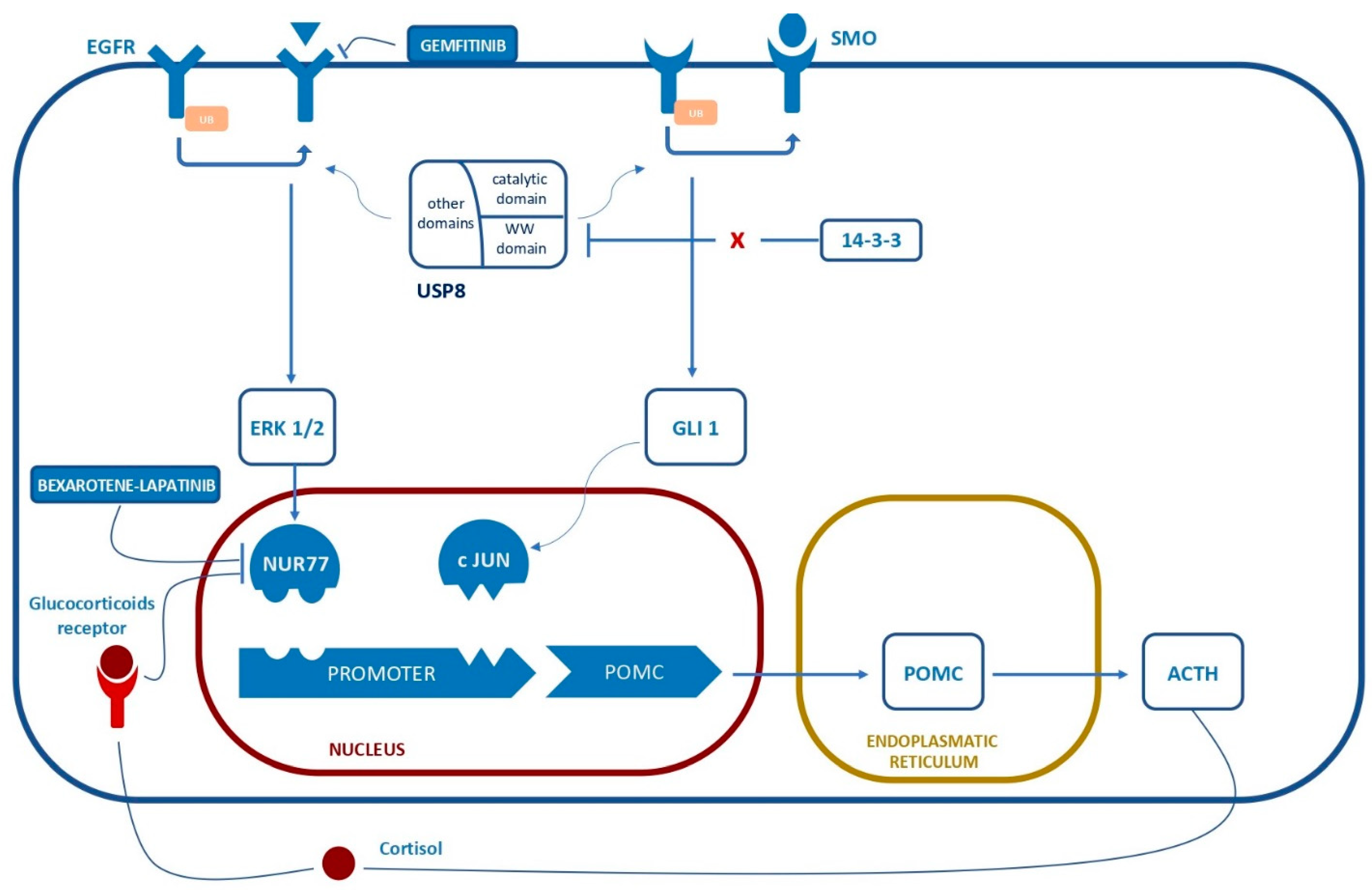 Ijms 23 06824 g001 Ijms 23 06824 g001