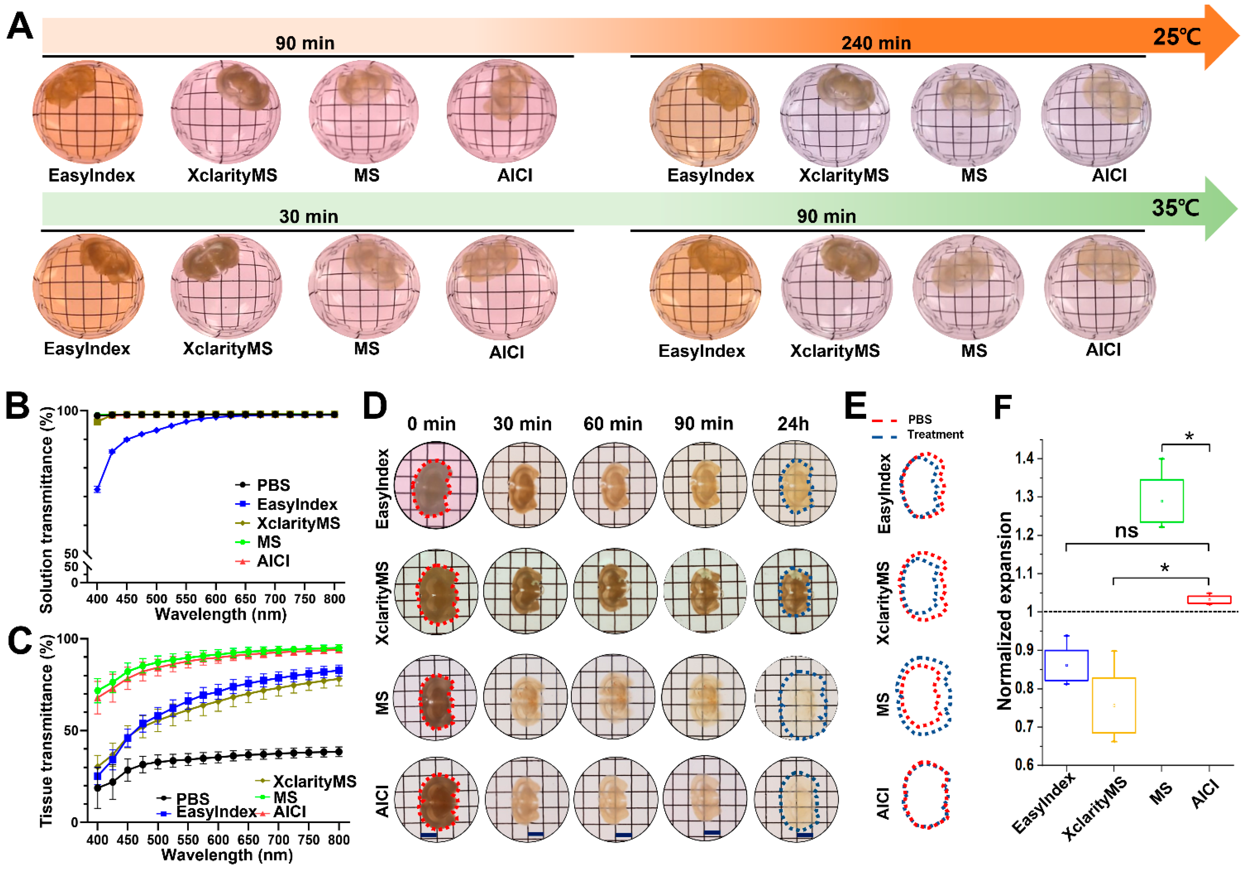 Ijms 23 06826 g002 550
