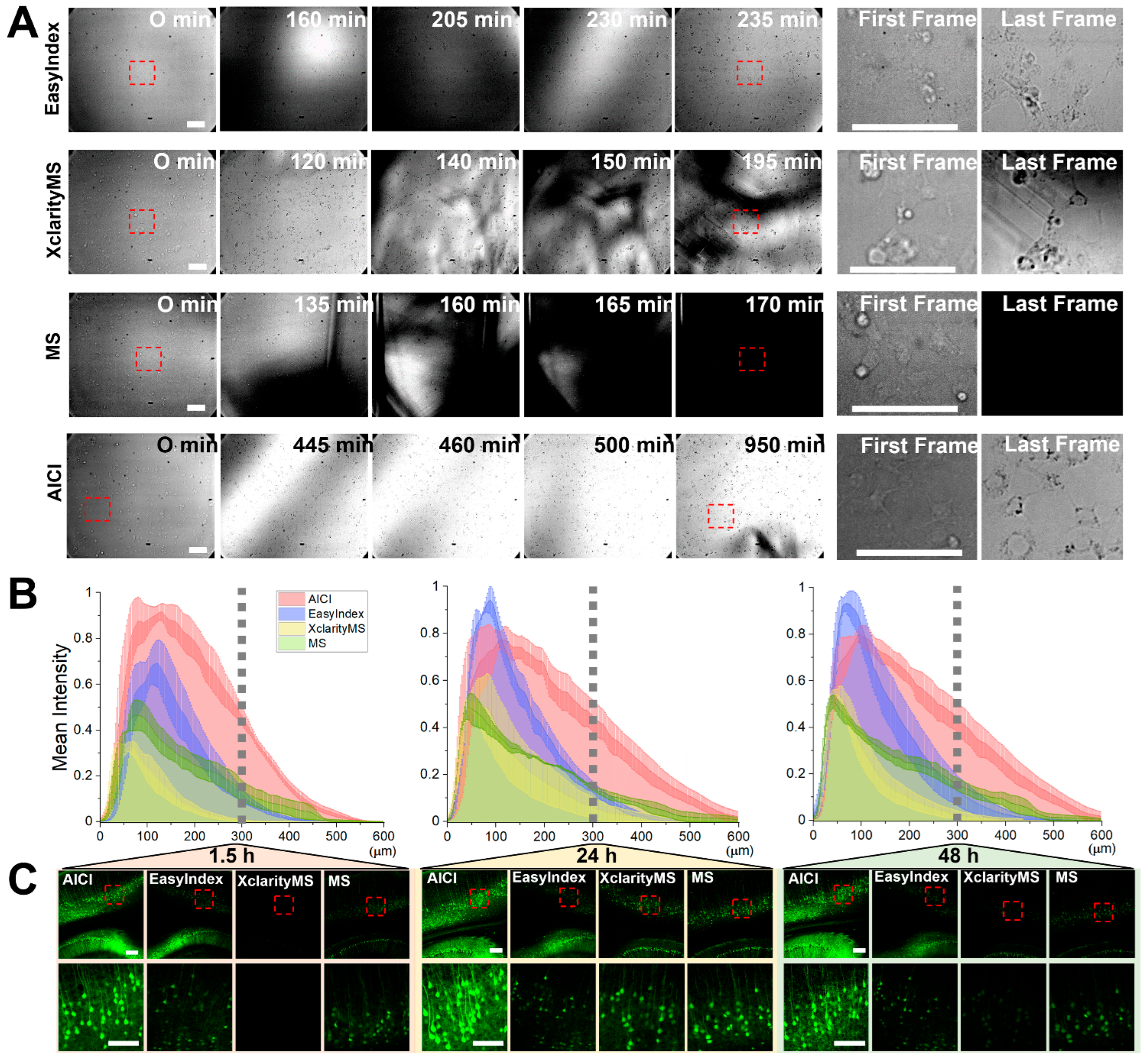 Ijms 23 06826 g004 550