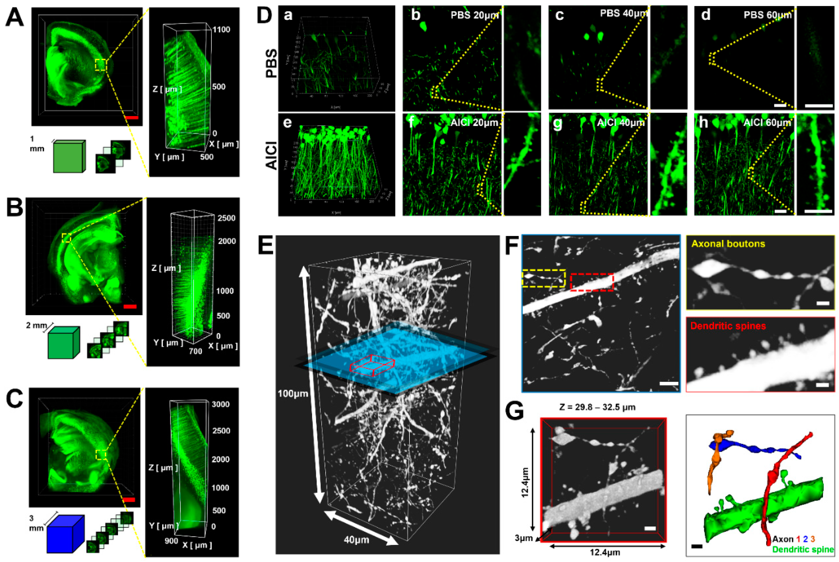 Ijms 23 06826 g005 550