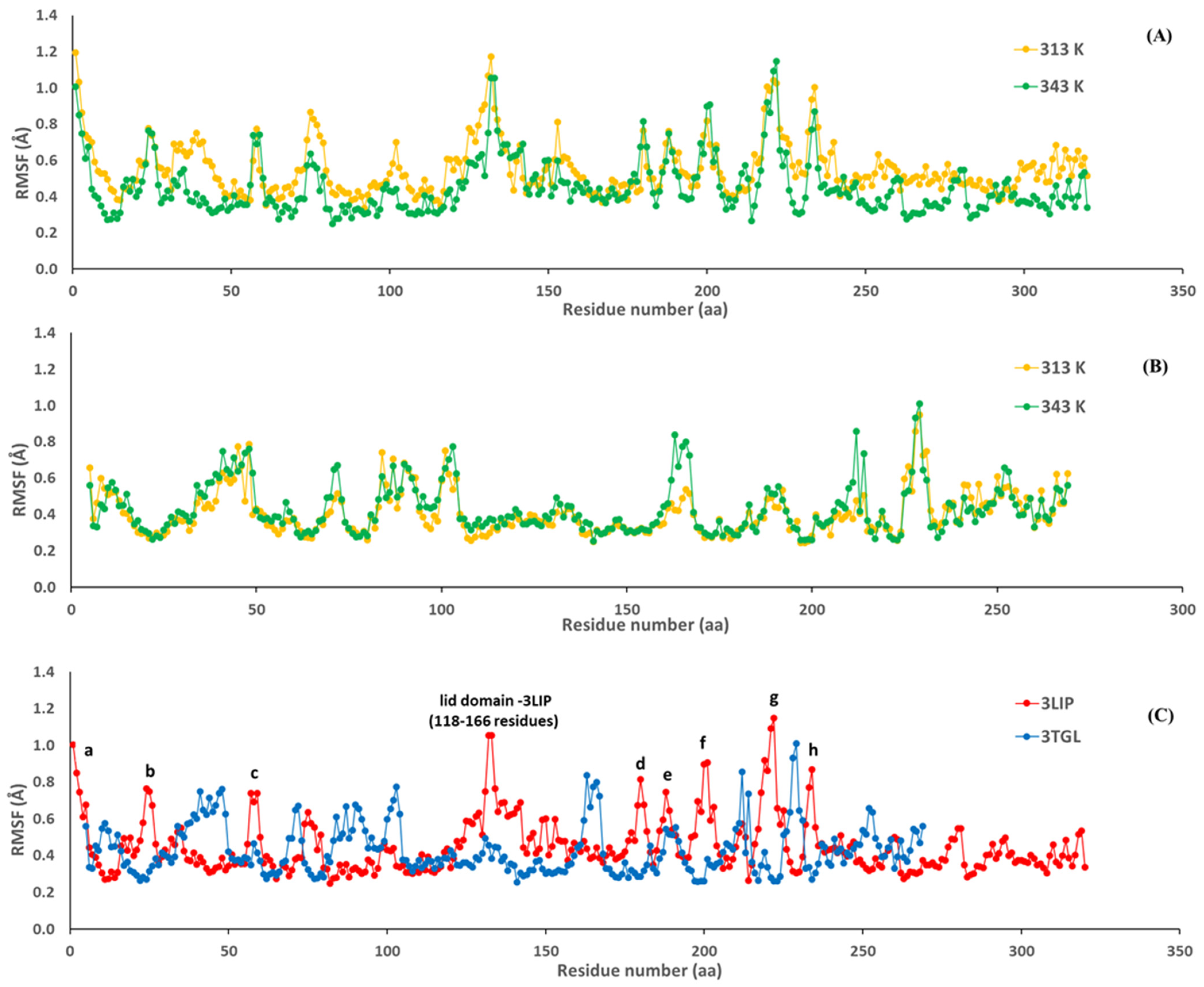 Ijms 23 06828 g005 550
