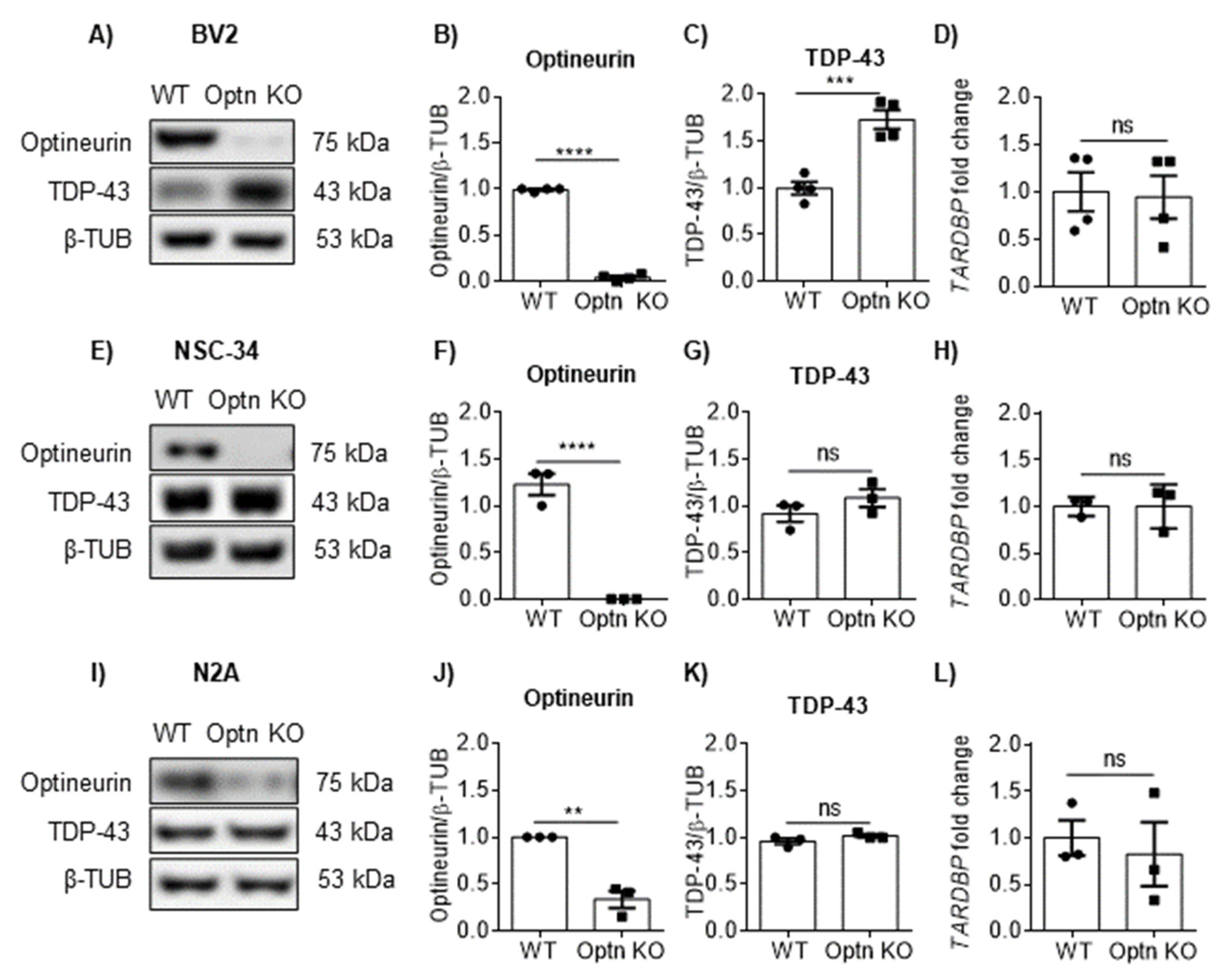 Ijms 23 06829 g001 550