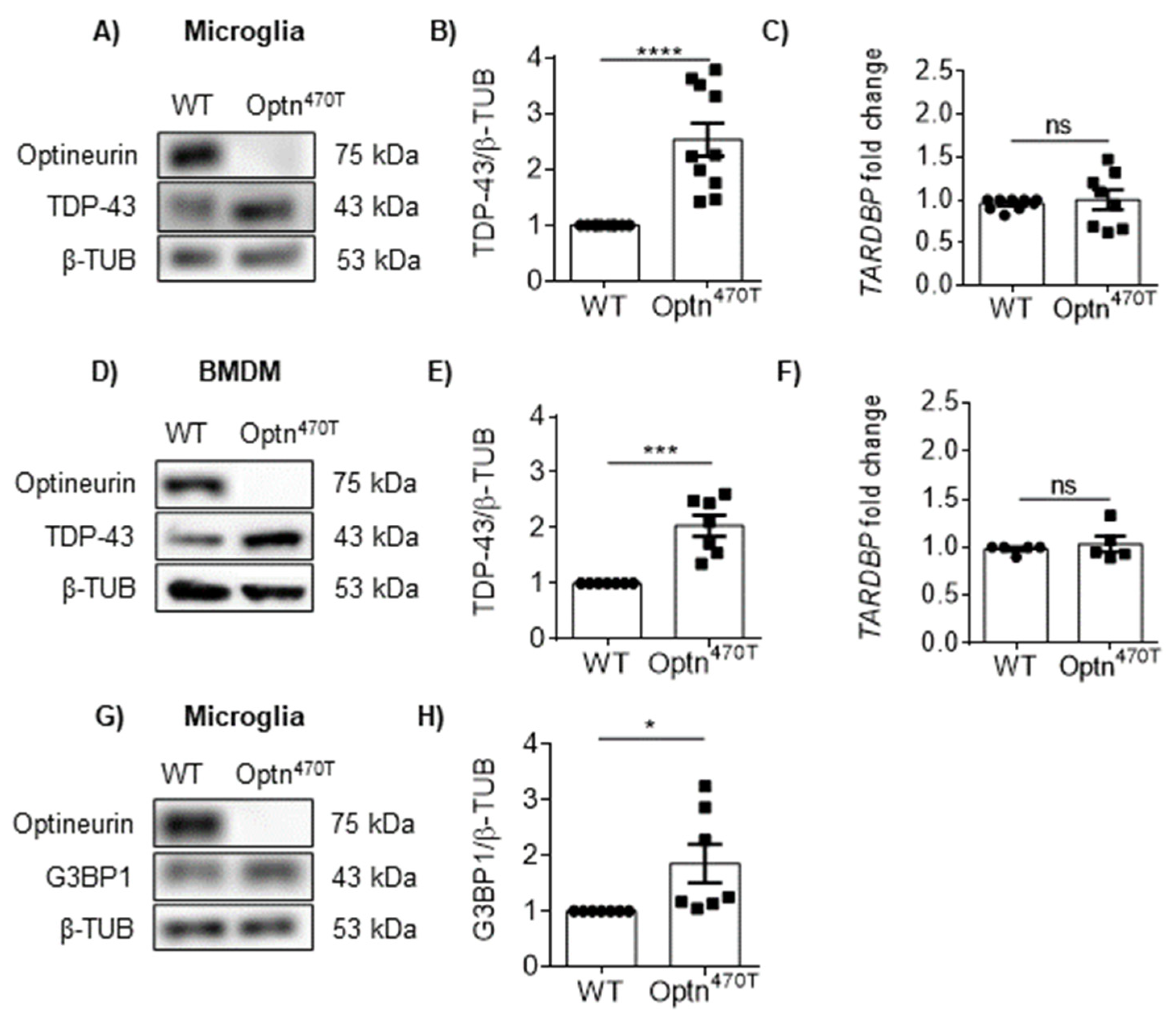 Ijms 23 06829 g002 550