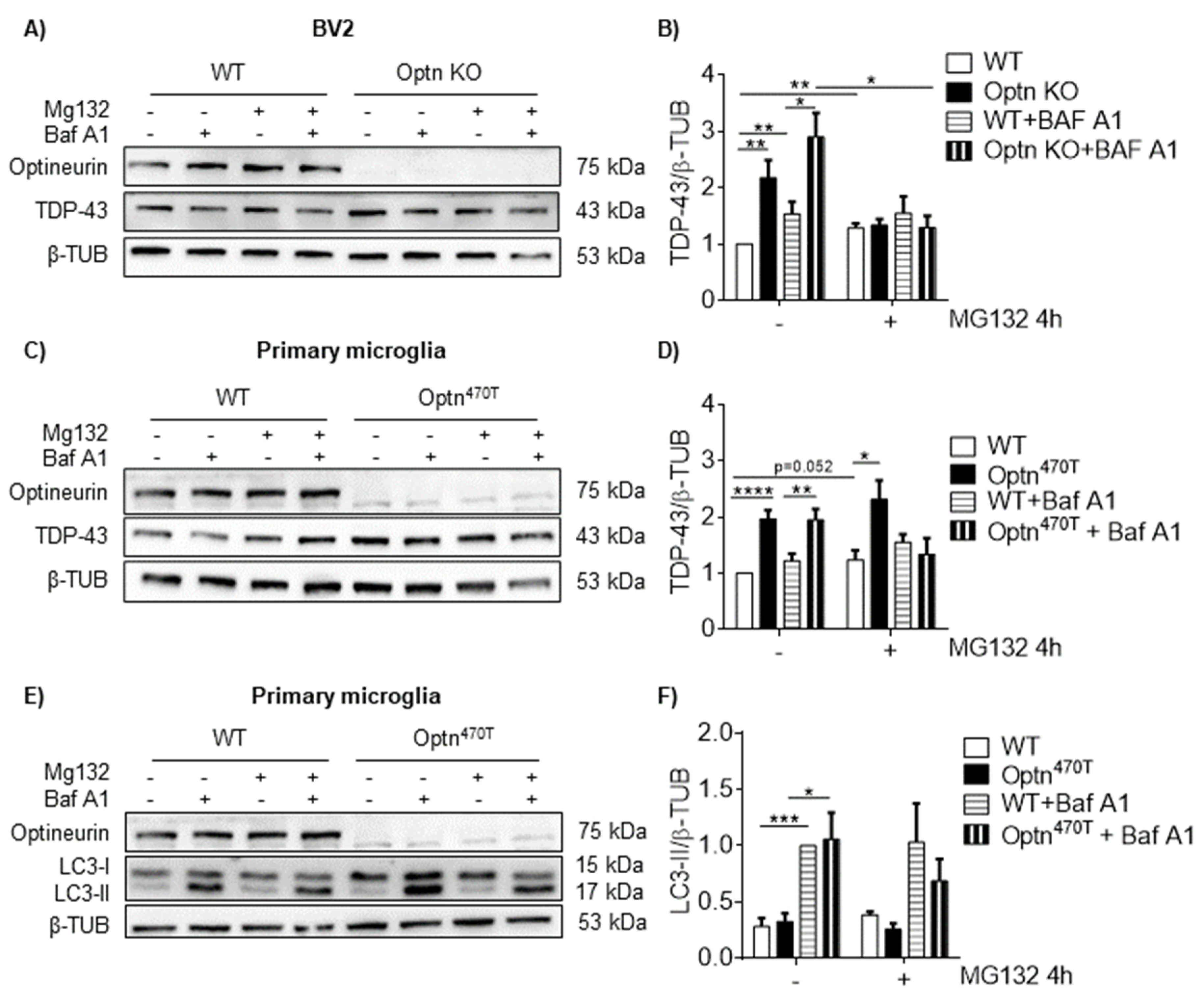 Ijms 23 06829 g003 550