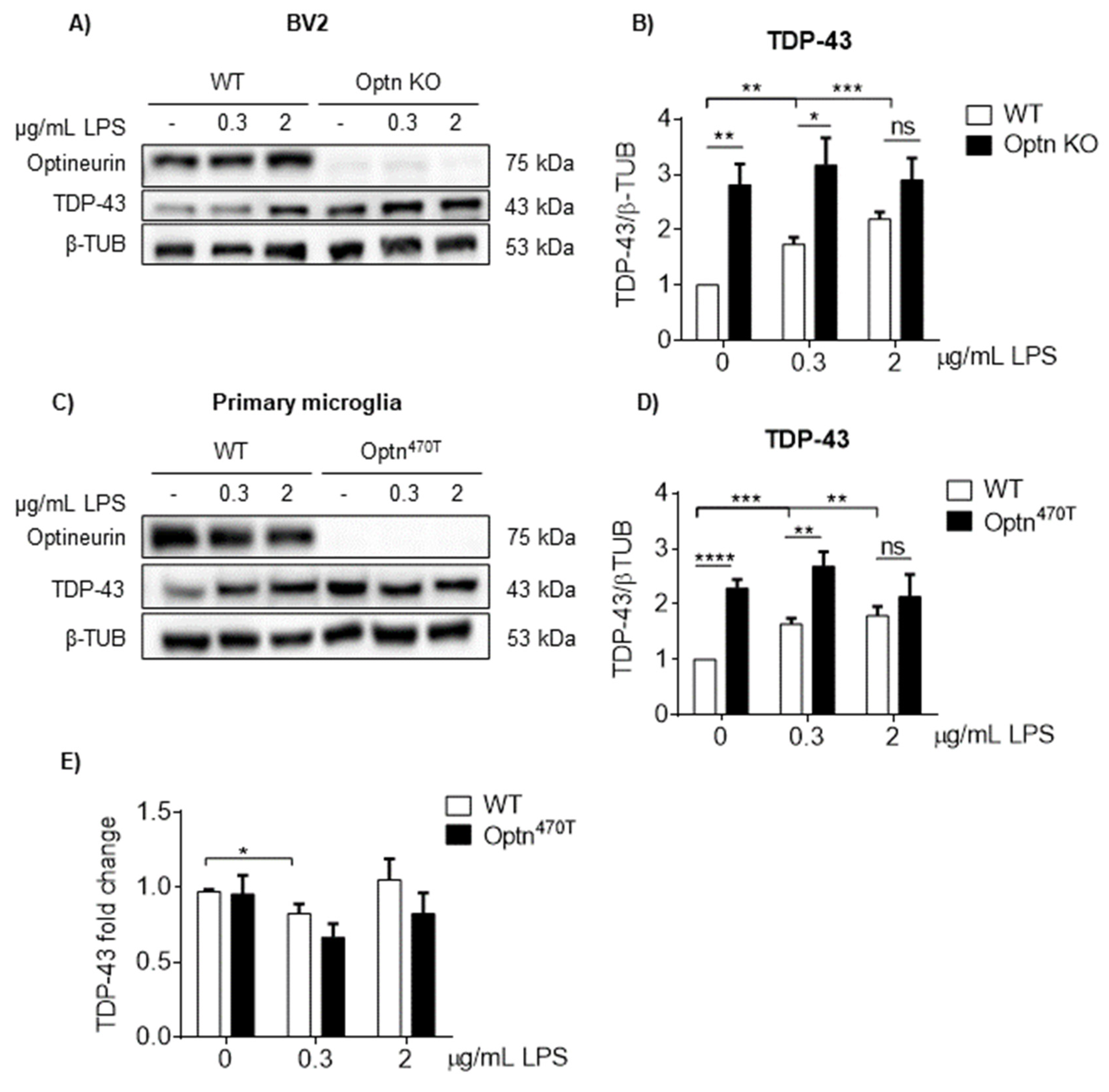Ijms 23 06829 g004 550