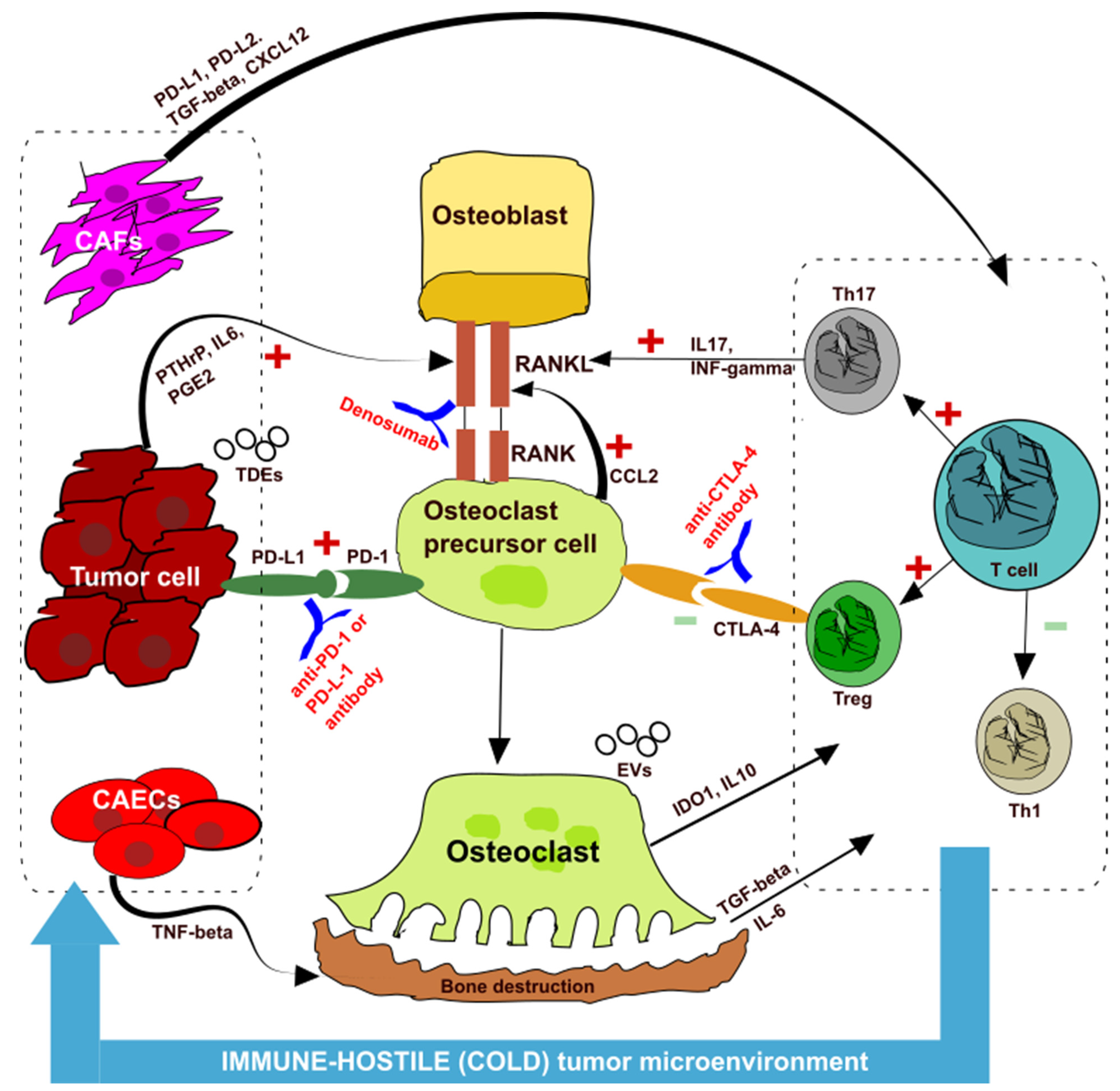 Ijms 23 06832 g001 550