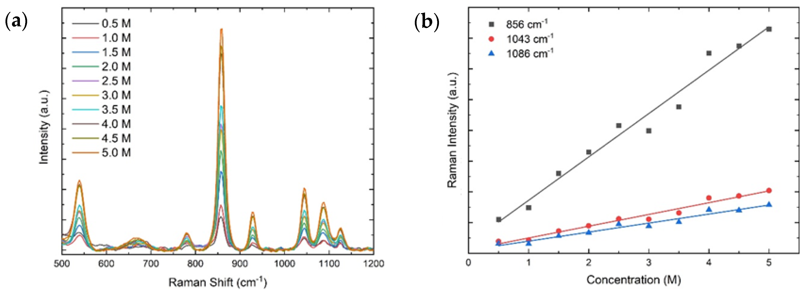 Ijms 23 06834 g006 550
