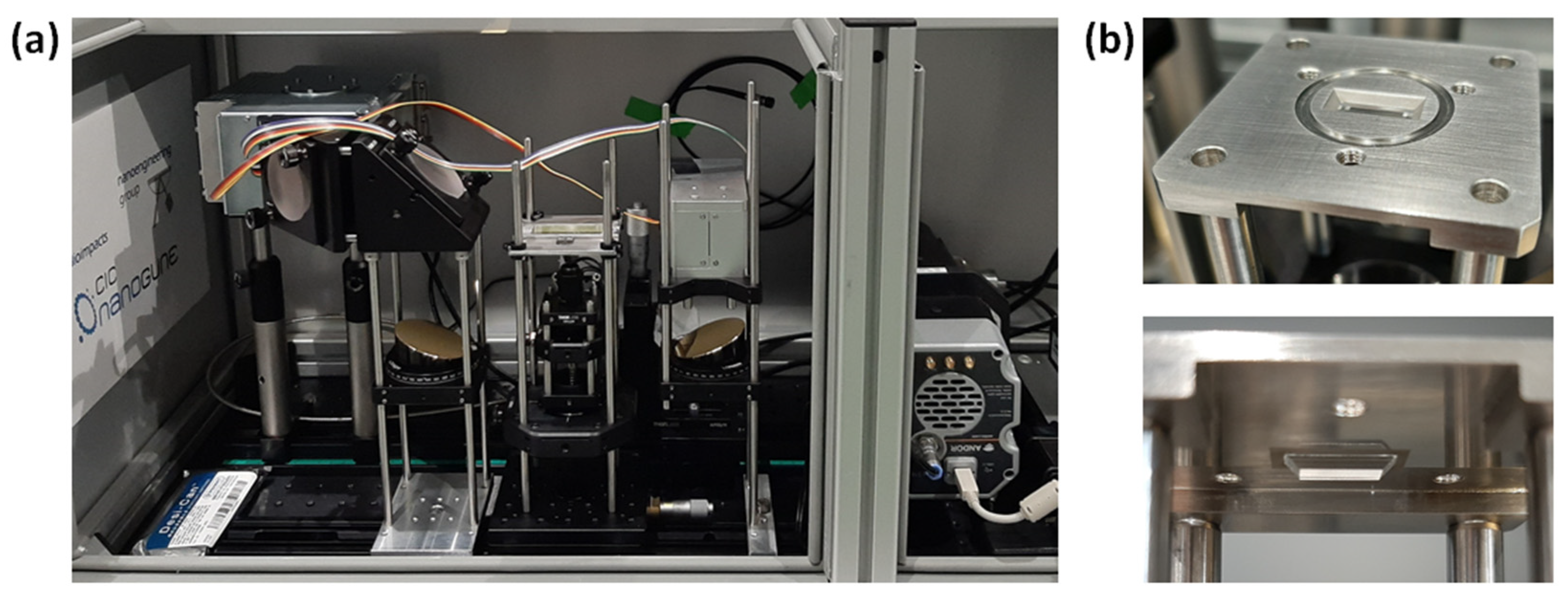 Ijms 23 06834 g008 550