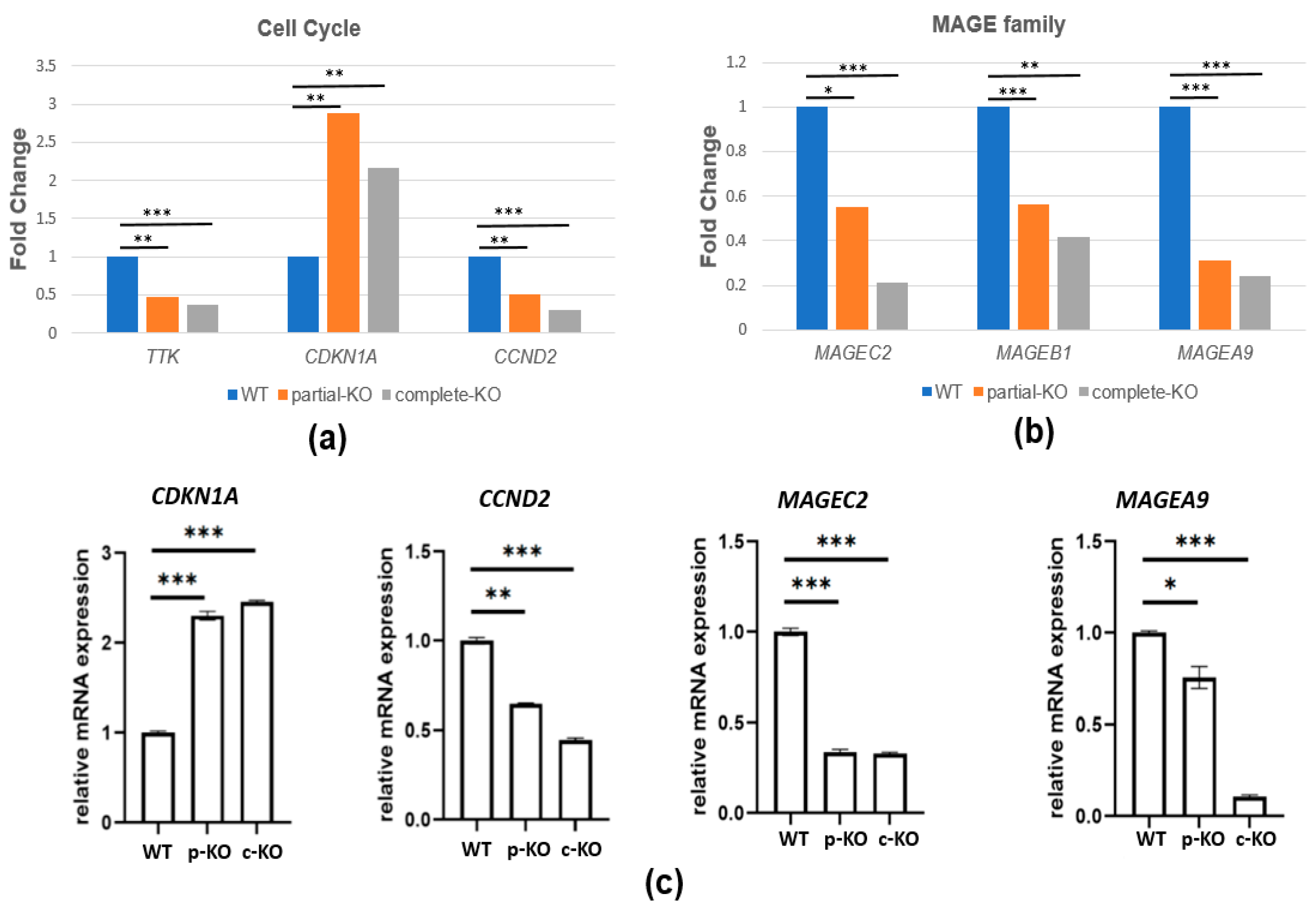 Ijms 23 06839 g004 550