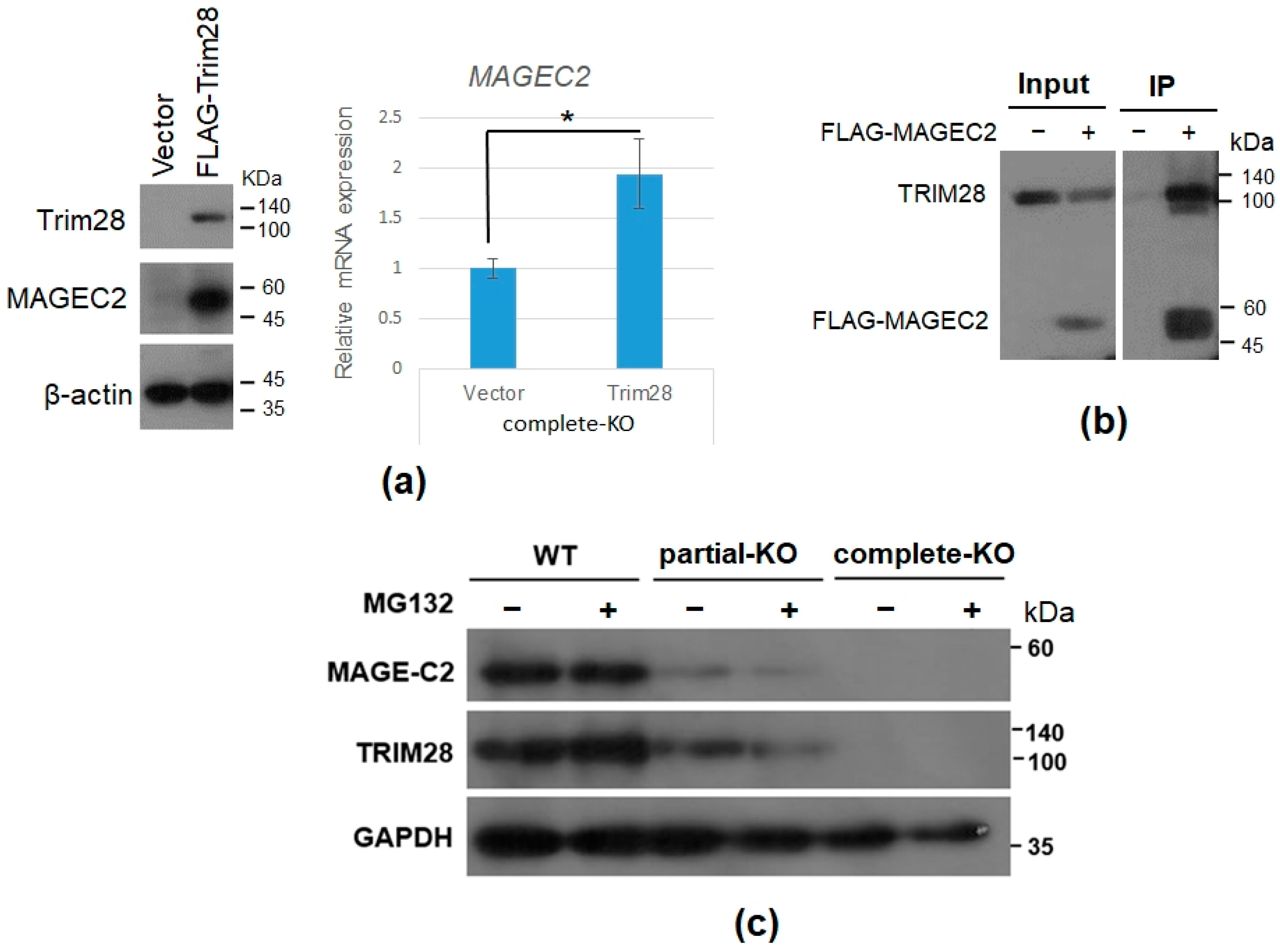 Ijms 23 06839 g005 550