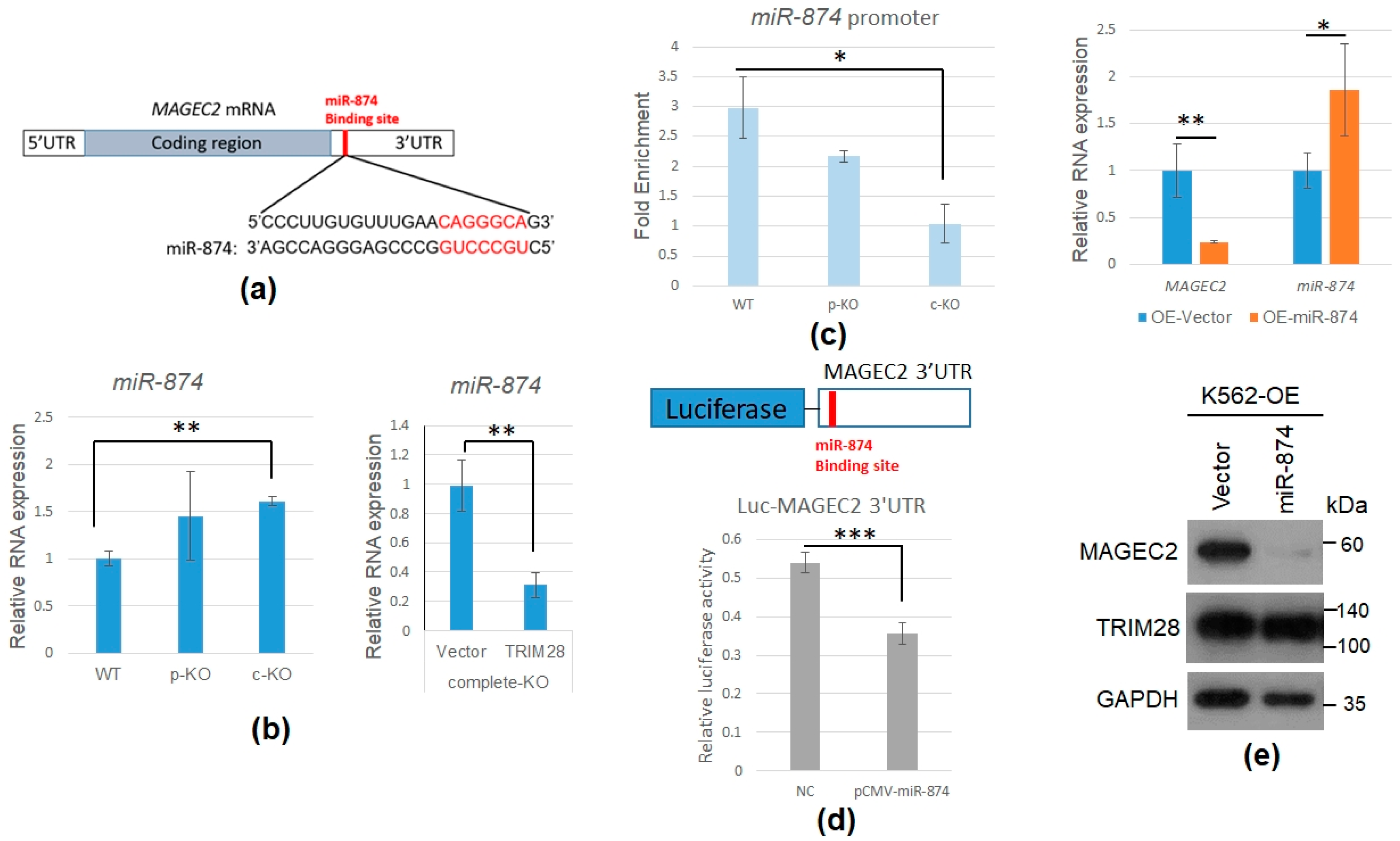 Ijms 23 06839 g006 550