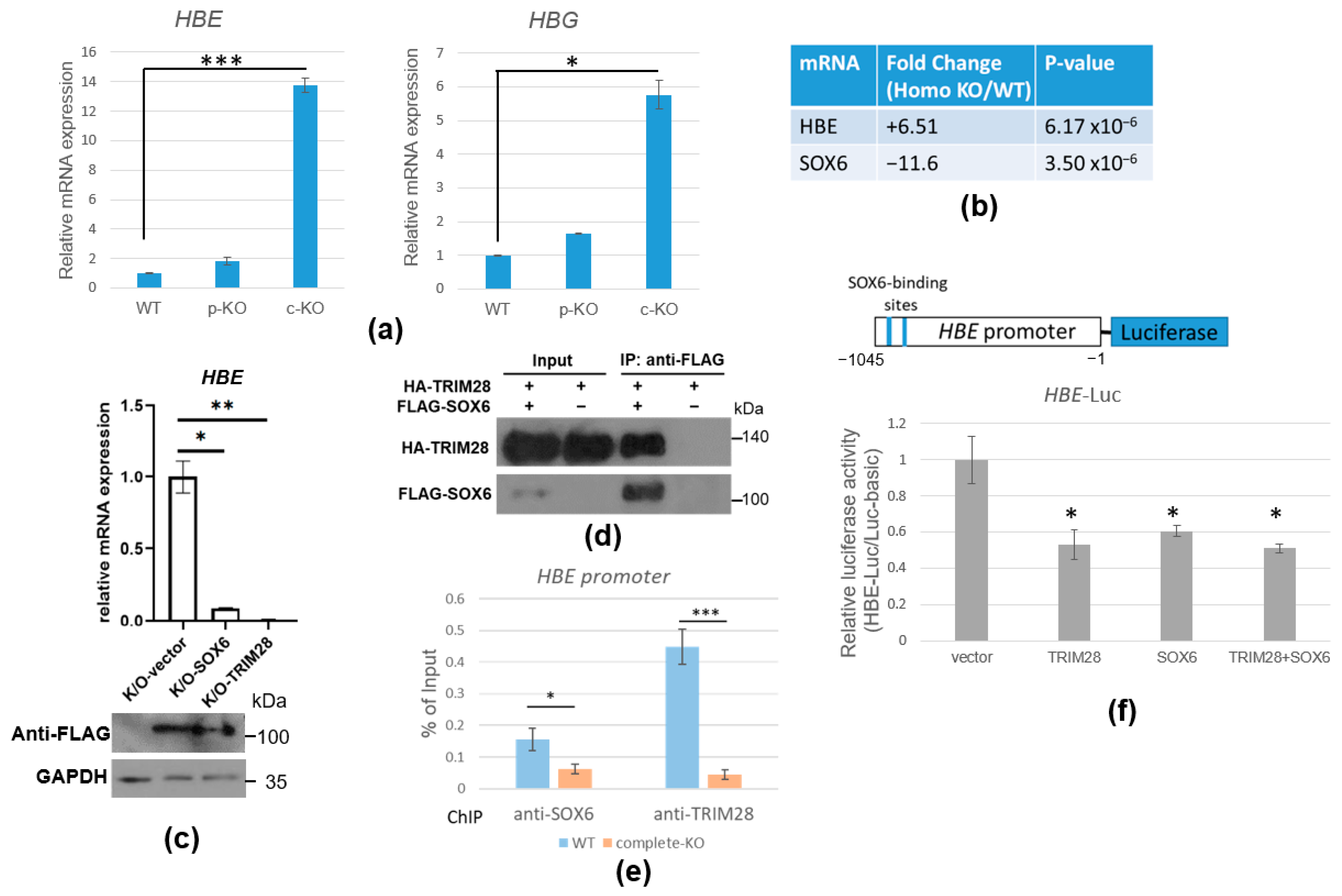 Ijms 23 06839 g007 550
