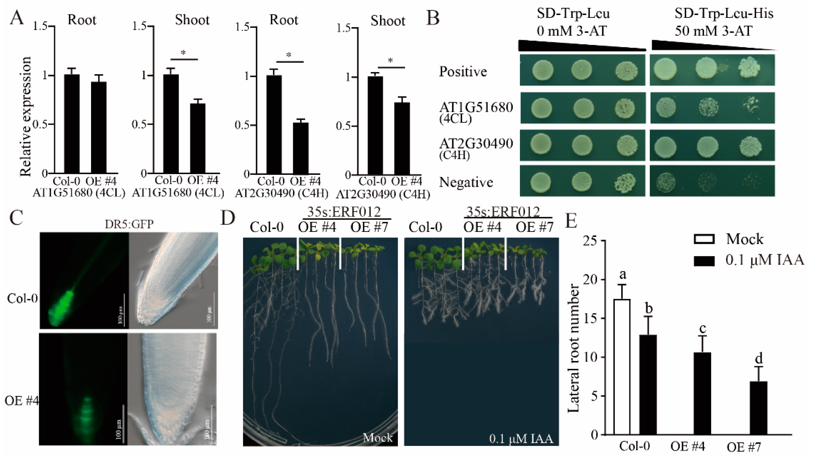 Ijms 23 06841 g004 550