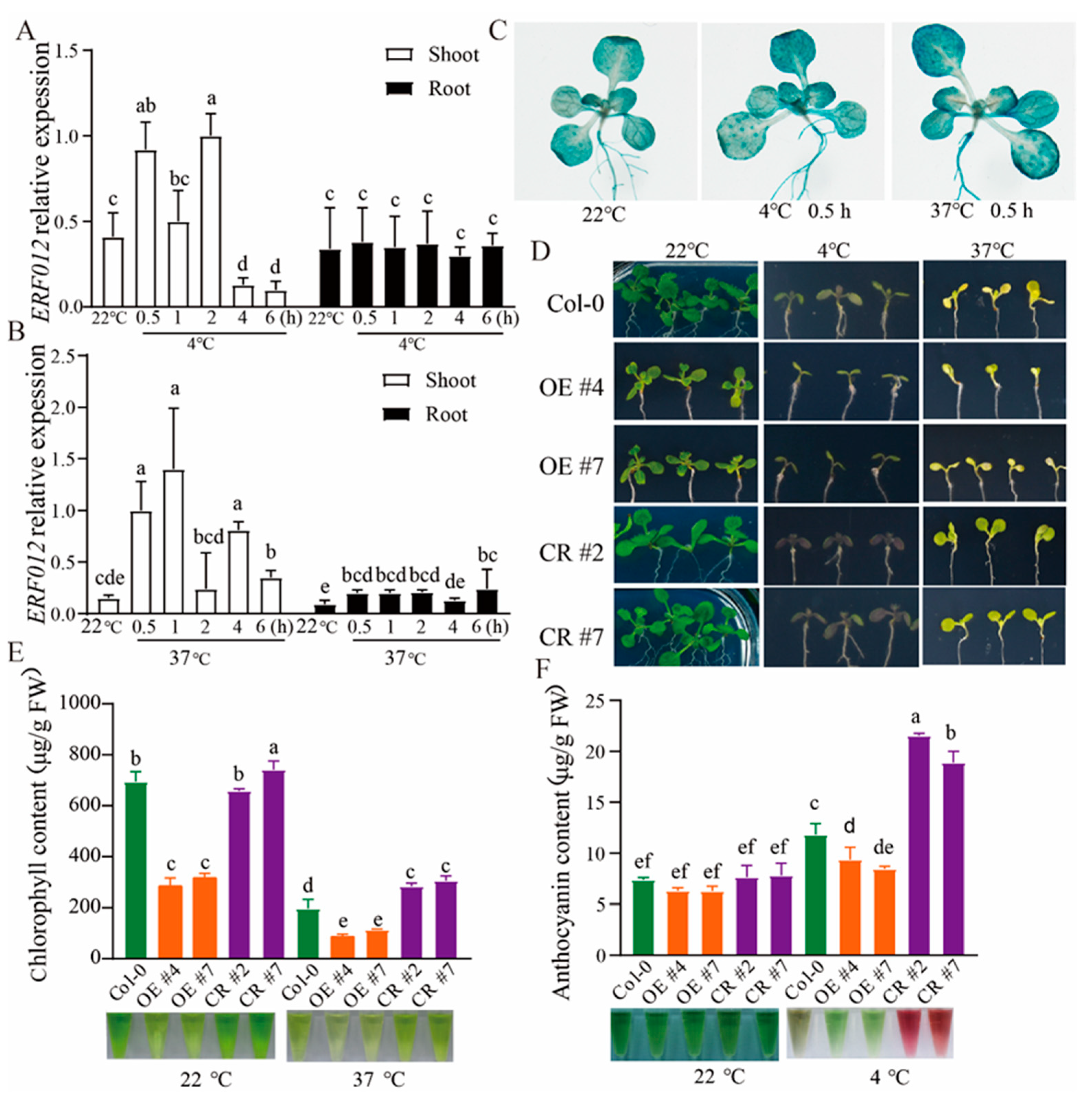 Ijms 23 06841 g006 550