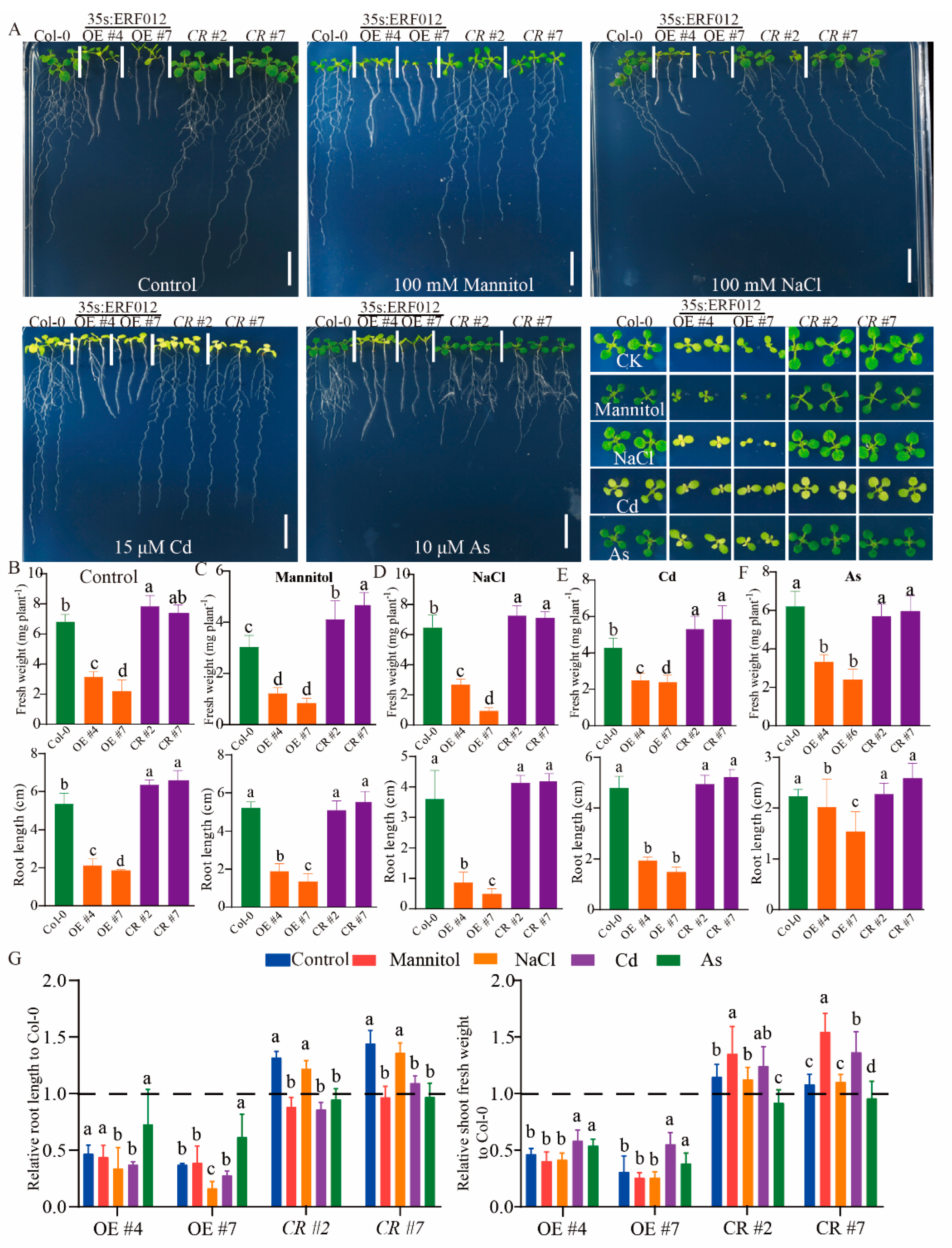Ijms 23 06841 g008 550