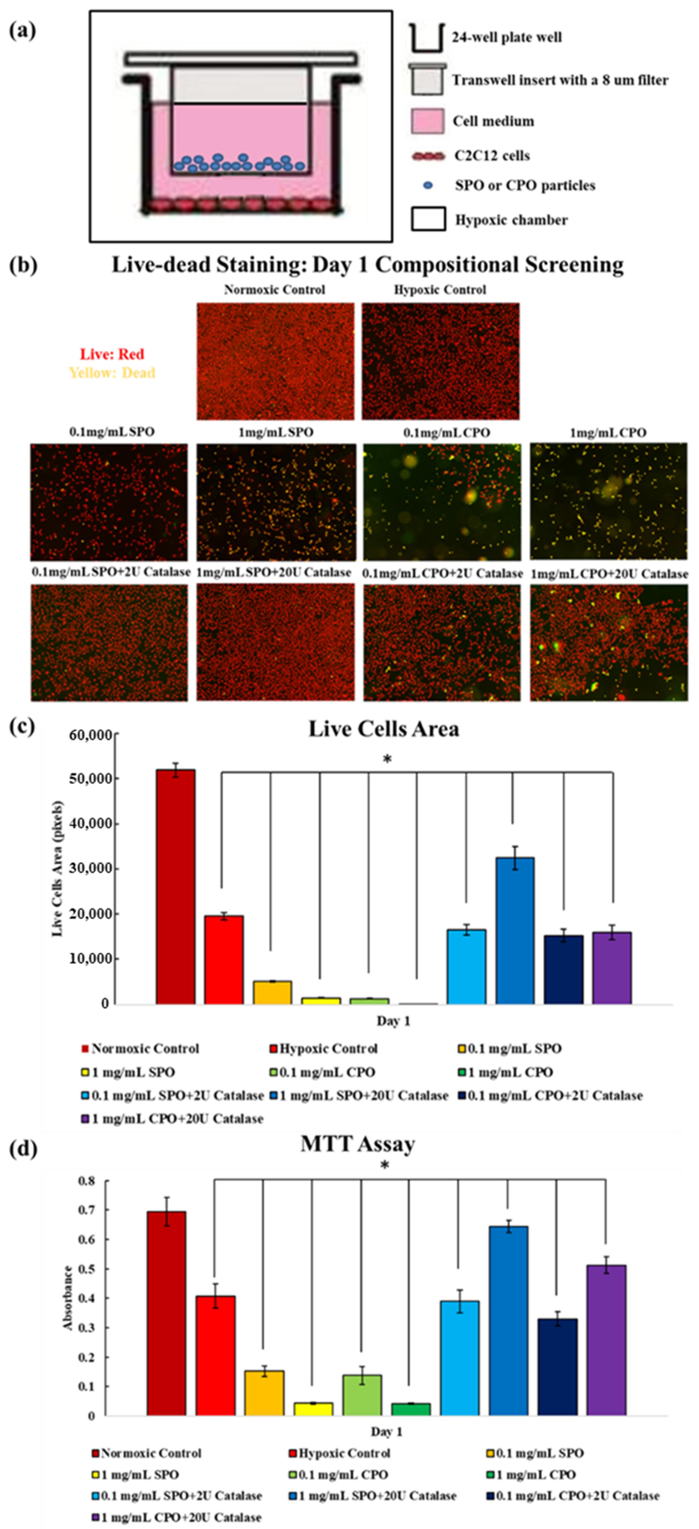 Ijms 23 06842 g002 550