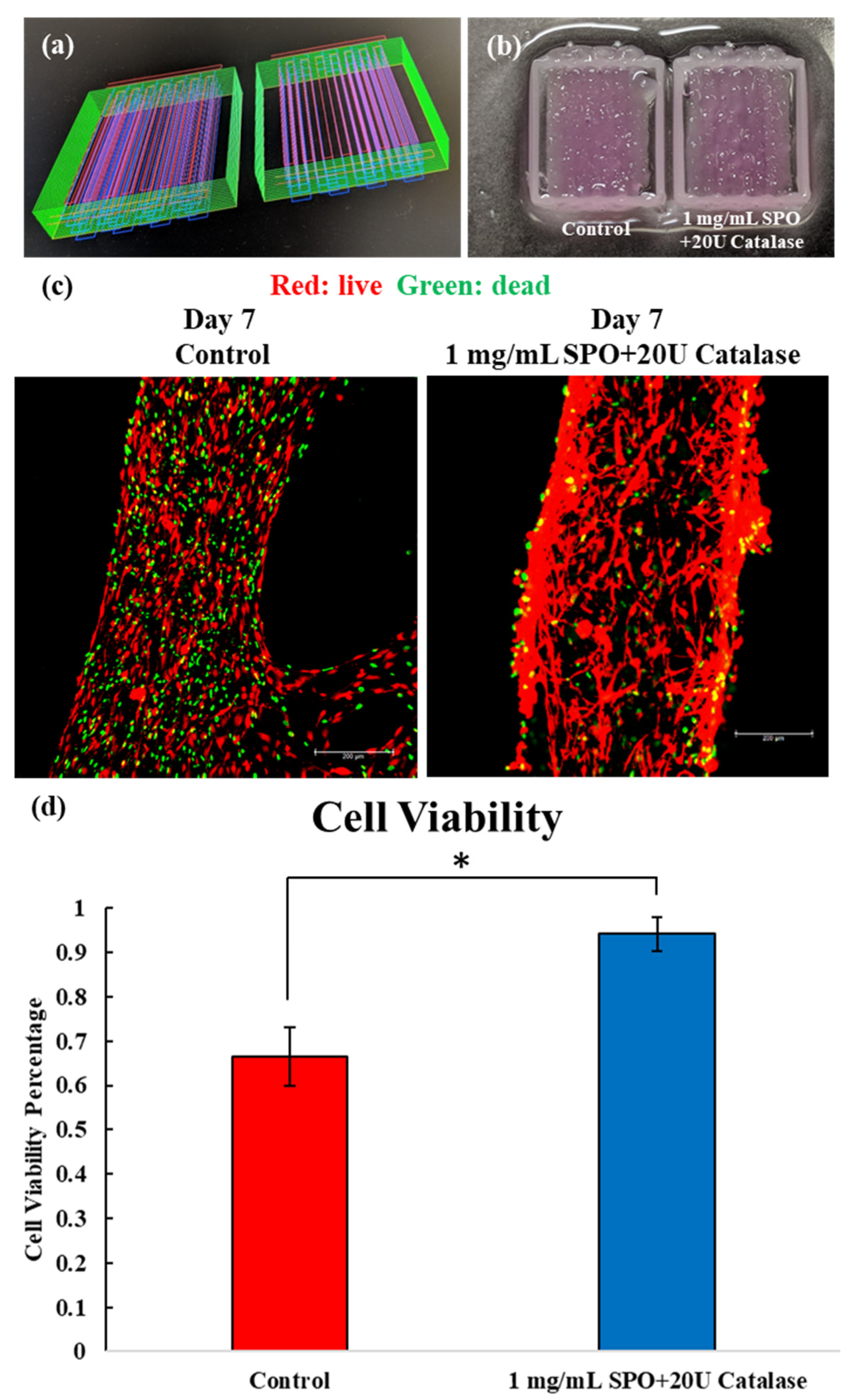 Ijms 23 06842 g004 550