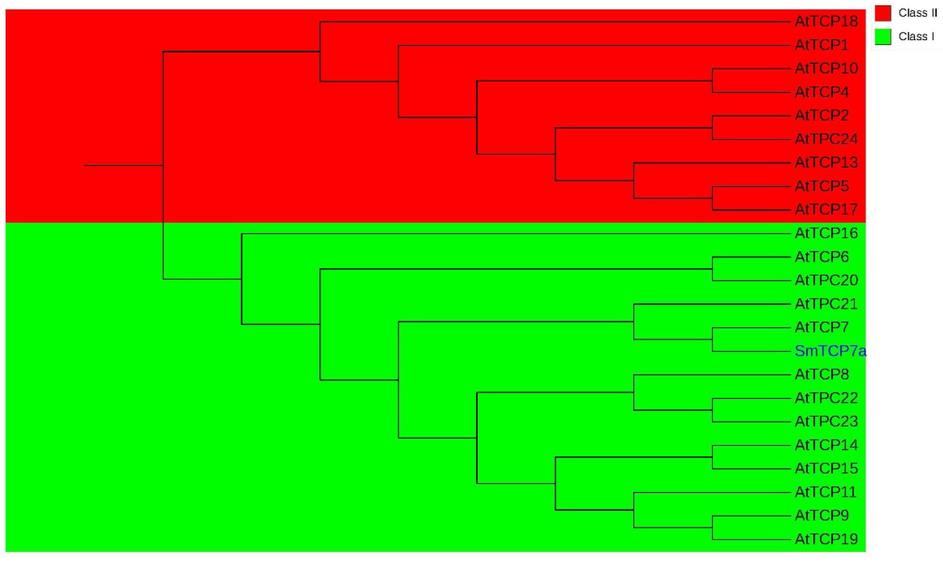 Ijms 23 06844 g001 550