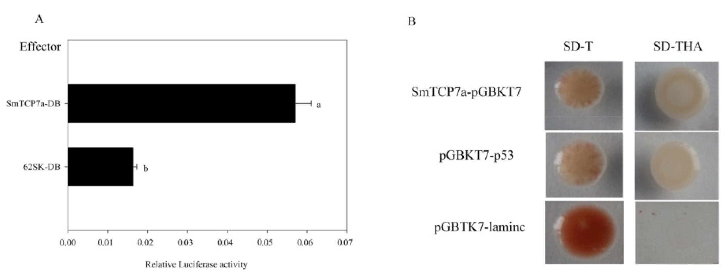 Ijms 23 06844 g003 550