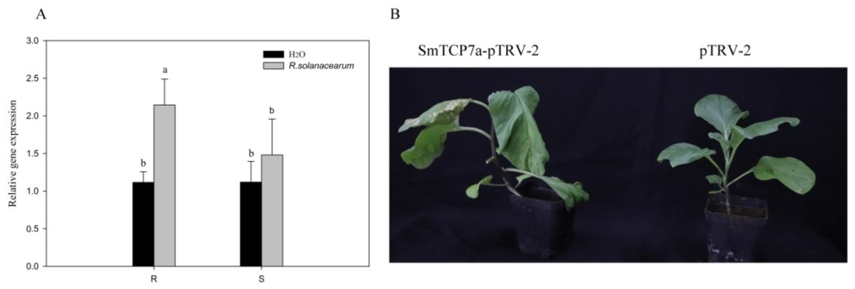 Ijms 23 06844 g004 550