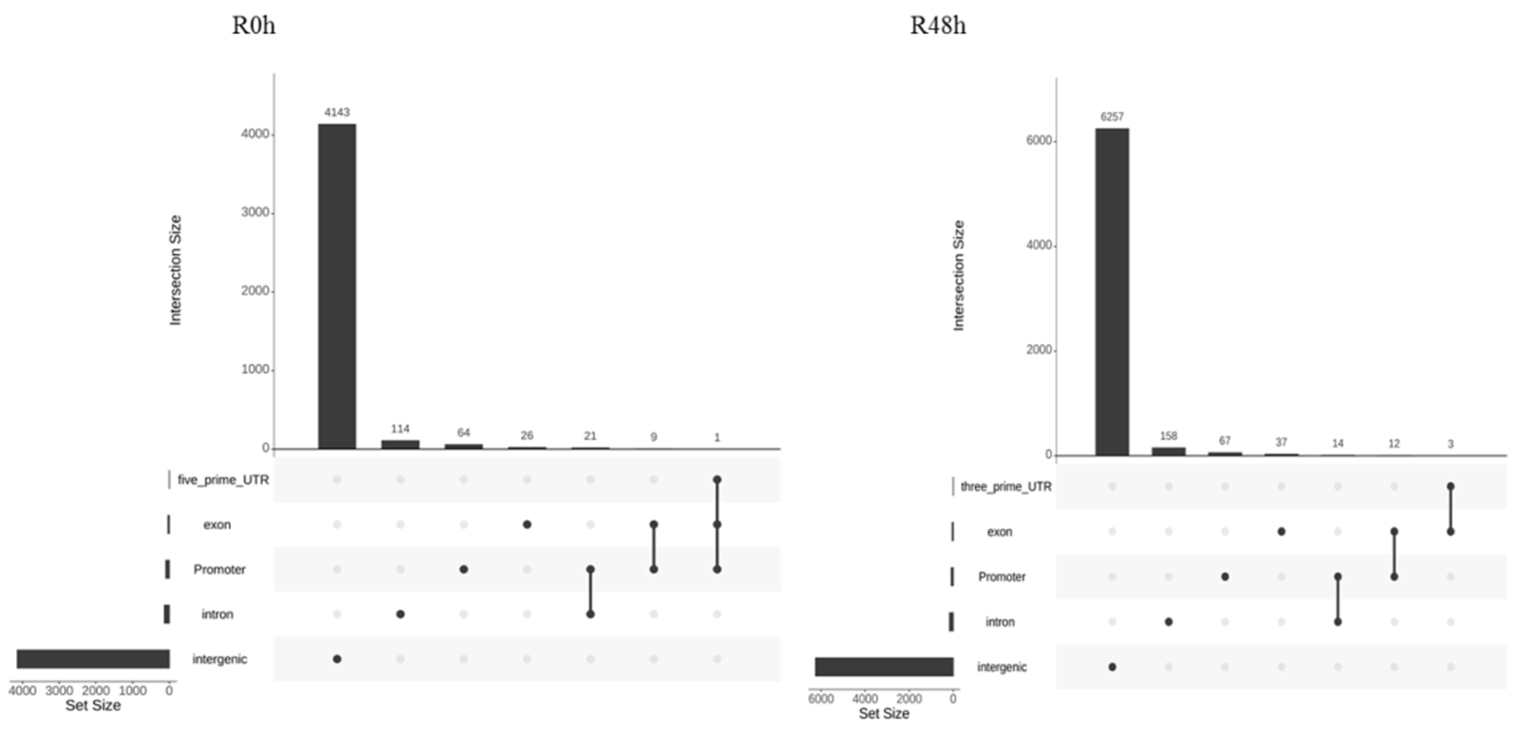 Ijms 23 06844 g006 550