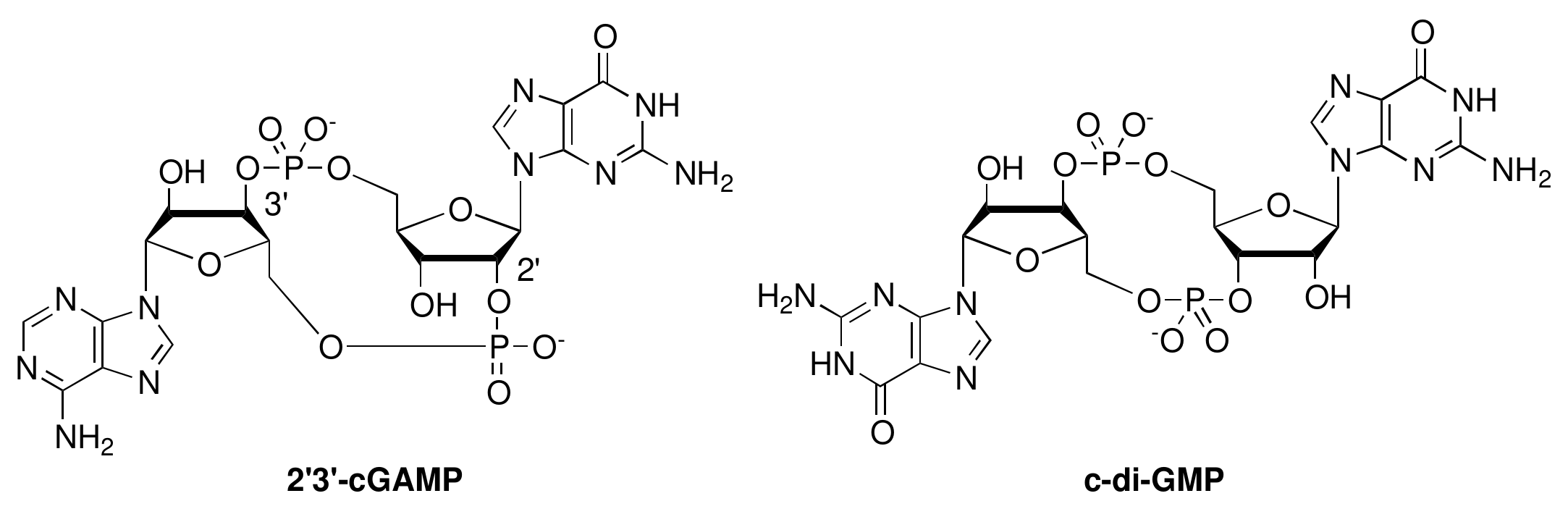 Ijms 23 06847 g001 550