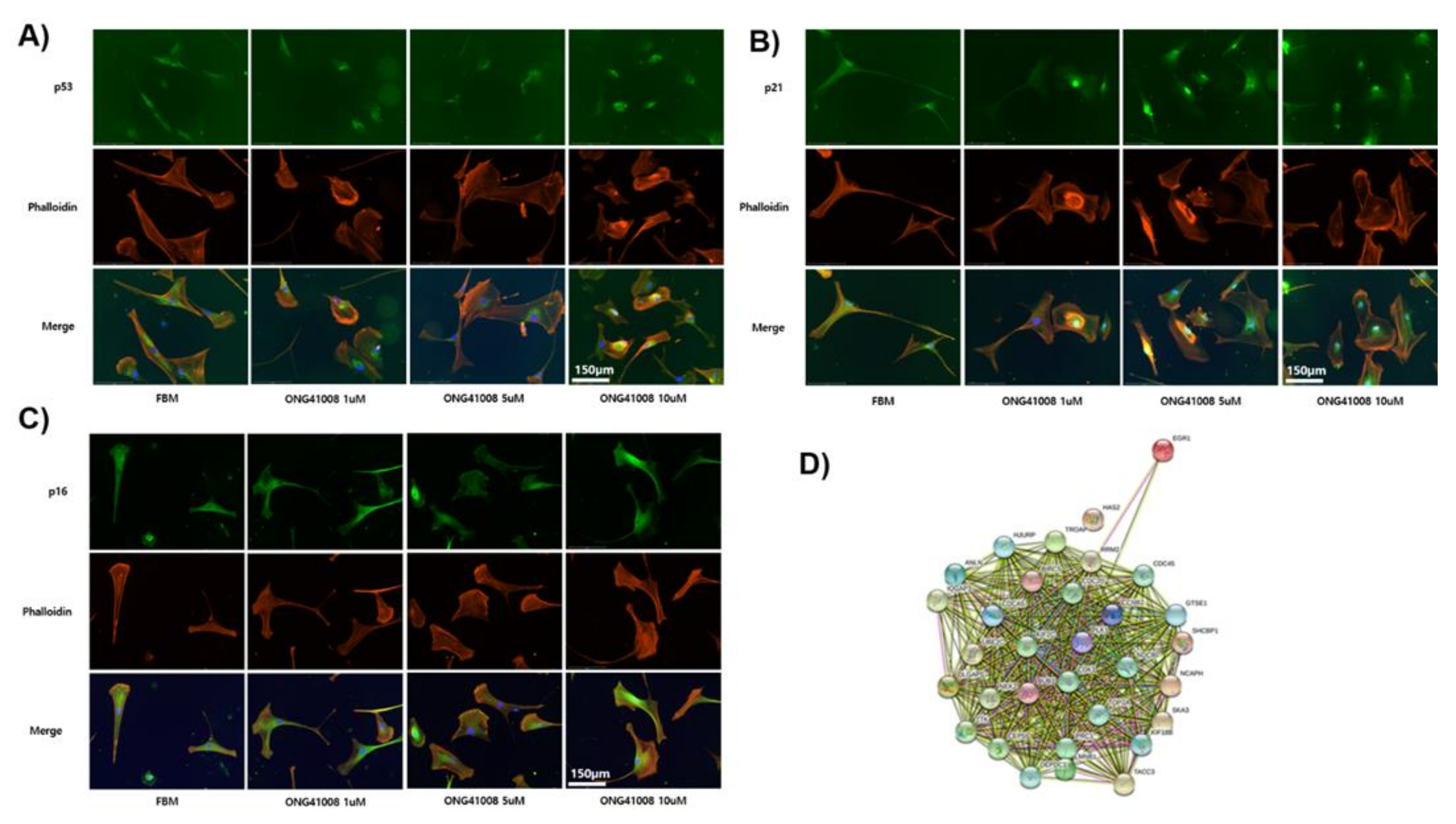 Ijms 23 06852 g004 550
