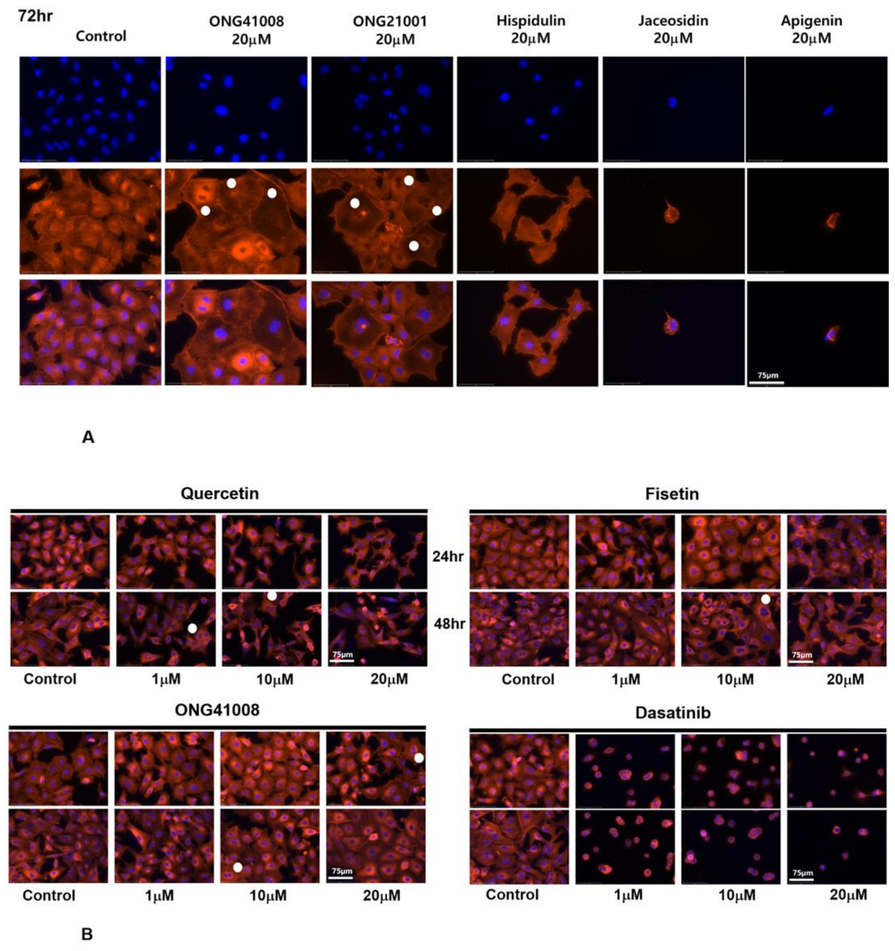 Ijms 23 06852 g006 550